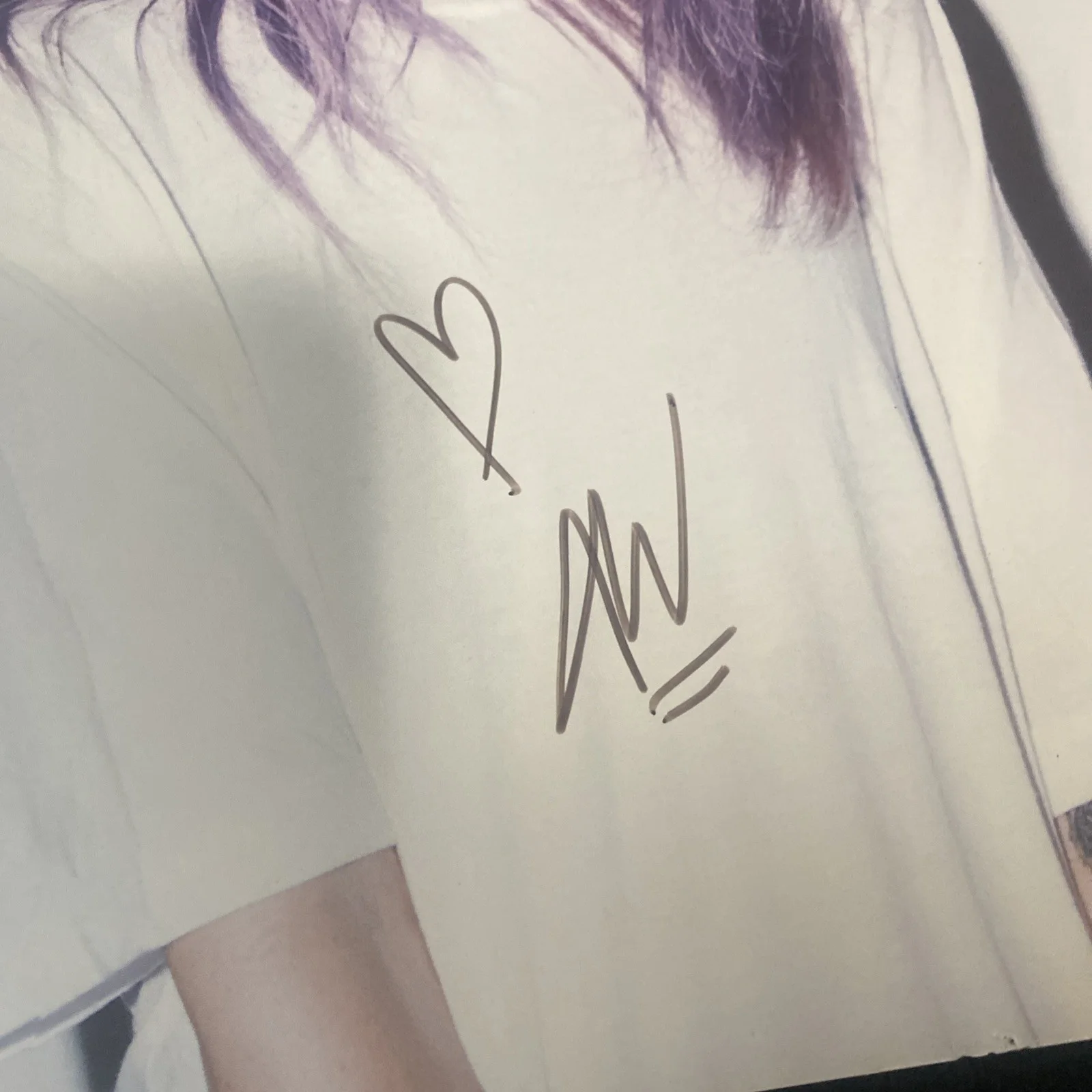 Alison Wonderland 12x12 Signed Poster Awake Album Autographed Lithograph AW, изображение 3