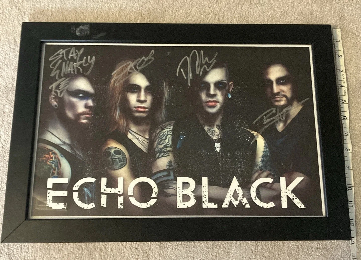 Rare “Echo Black” Band Signed Autograph Framed Poster Photo Rob Gnarly Danny Blu, изображение 2
