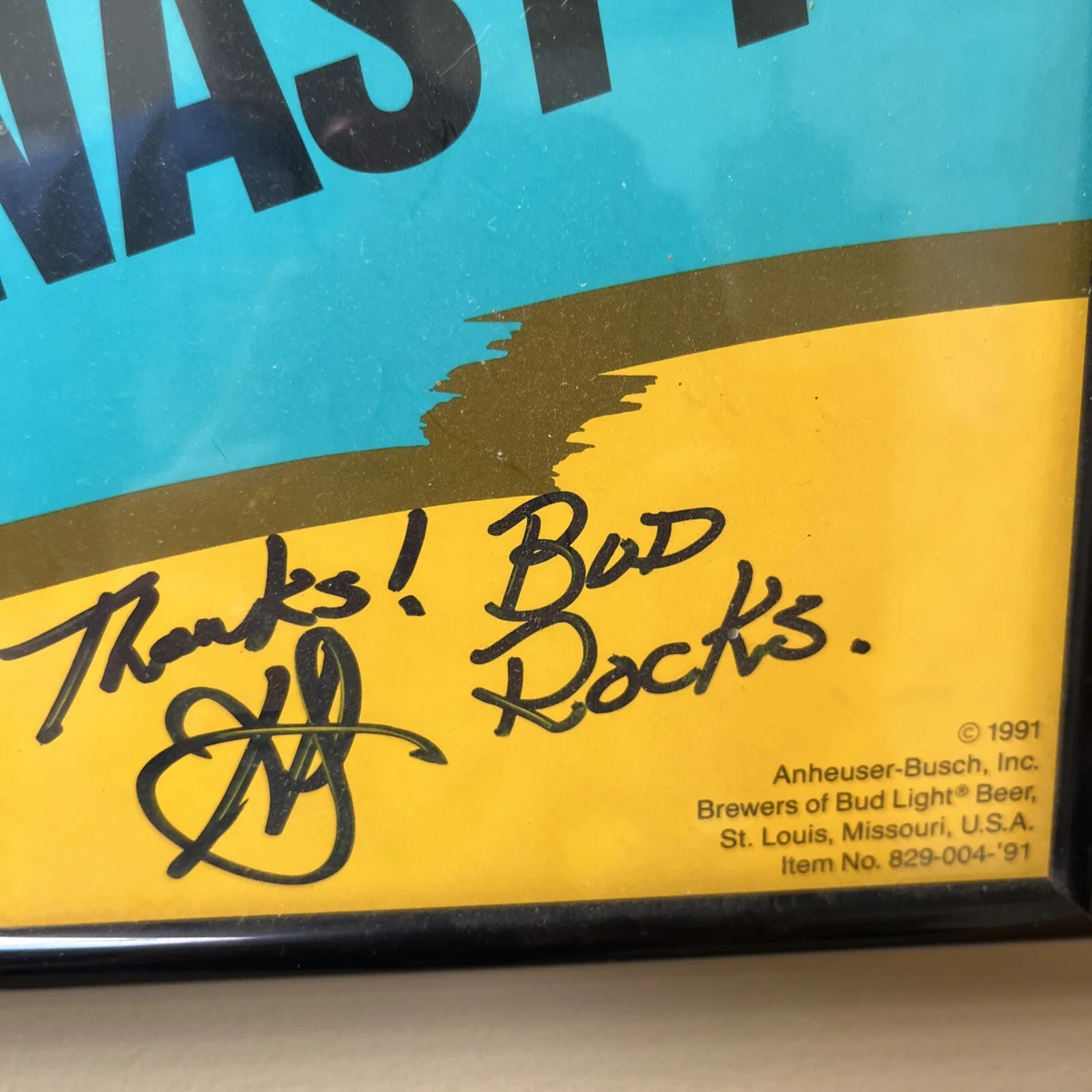 Extremely Rare 90s Shagnastys Concert Poster Signed 20.5”x 28.5” Framed Promo, image 4
