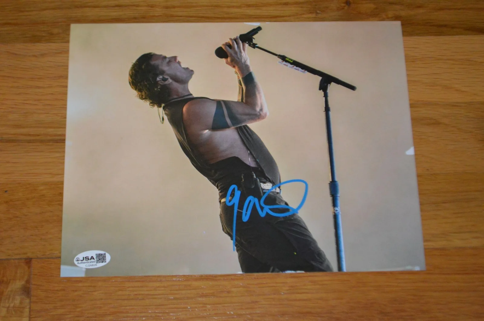 BUSH ~ Gavin Rossdale Autographed 8x10 Color Photo with JSA Hologram, image 4