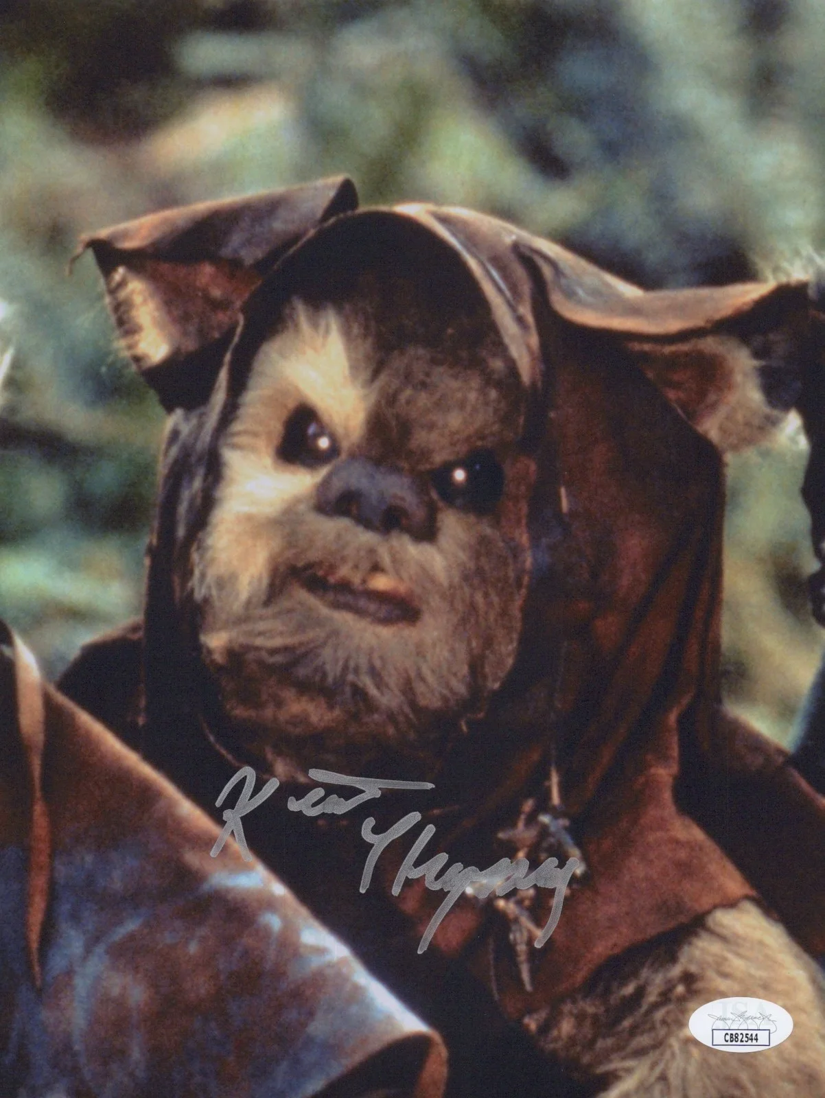 Kevin Thompson — KEVIN THOMPSON Signed 8x10 RETURN OF THE JEDI Authentic EWOK Autograph JSA COA