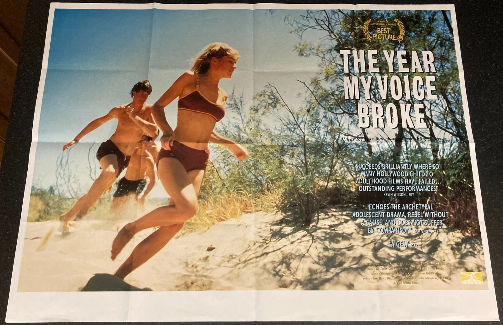 THE YEAR MY VOICE BROKE 1987 Original Cinema UK Quad Movie POSTER Australian, изображение 2