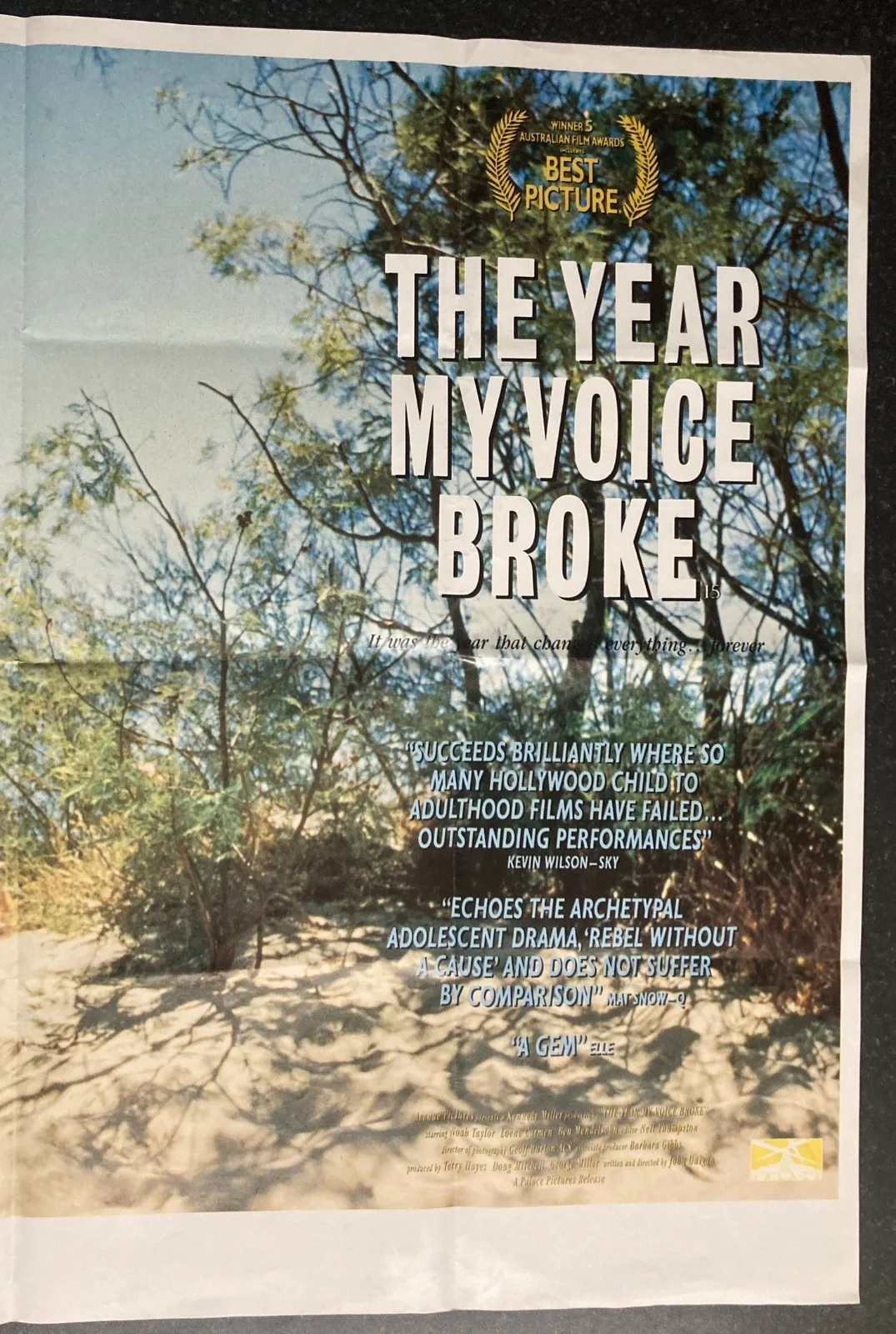 THE YEAR MY VOICE BROKE 1987 Original Cinema UK Quad Movie POSTER Australian, изображение 4