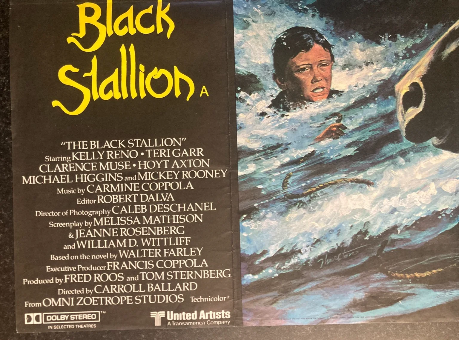 THE BLACK STALLION 1979 Original Cinema UK Quad Movie POSTER, изображение 5