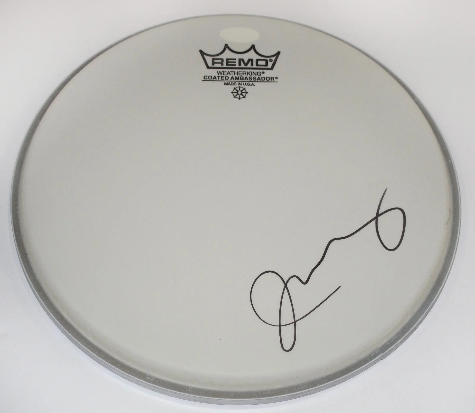 Jeff Tweedy - Wilco — Jeff Tweedy signed WILCO 10" Drumhead REMO AUTOGRAPHED Lead Singer JSA COA, изображение 4