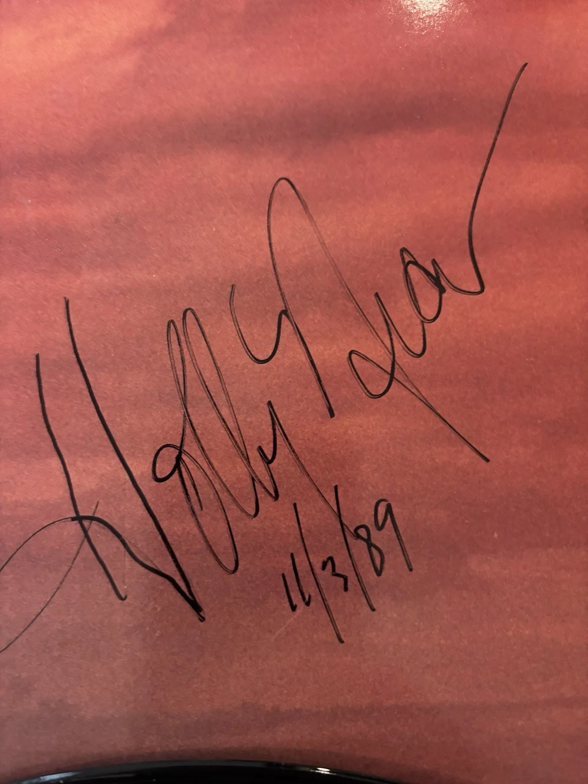 Holly Near And John Bocchino Signed Album: ‘Sky Dances’ From 1989. Rare Vinyl., изображение 4