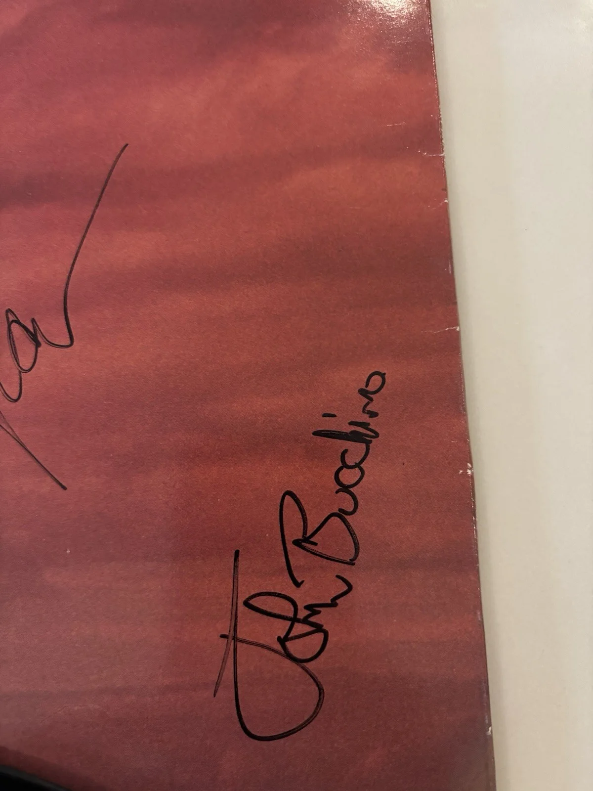 Holly Near And John Bocchino Signed Album: ‘Sky Dances’ From 1989. Rare Vinyl., изображение 5