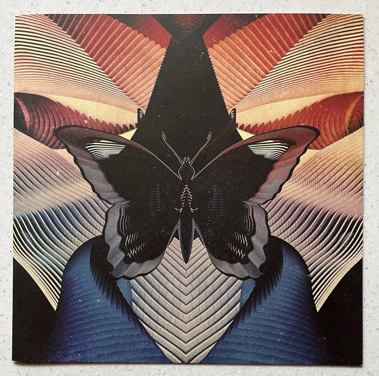 Thornhill Butterfly Band Signed Autographed Vinyl LP Blue 2021 VG+ Rare /660, изображение 3