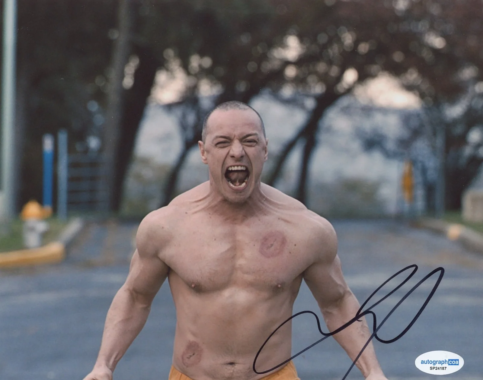 James McAvoy — James McAvoy Signed Autographed GLASS 8x10 Photo ACOA Split Unbreakable, image 2