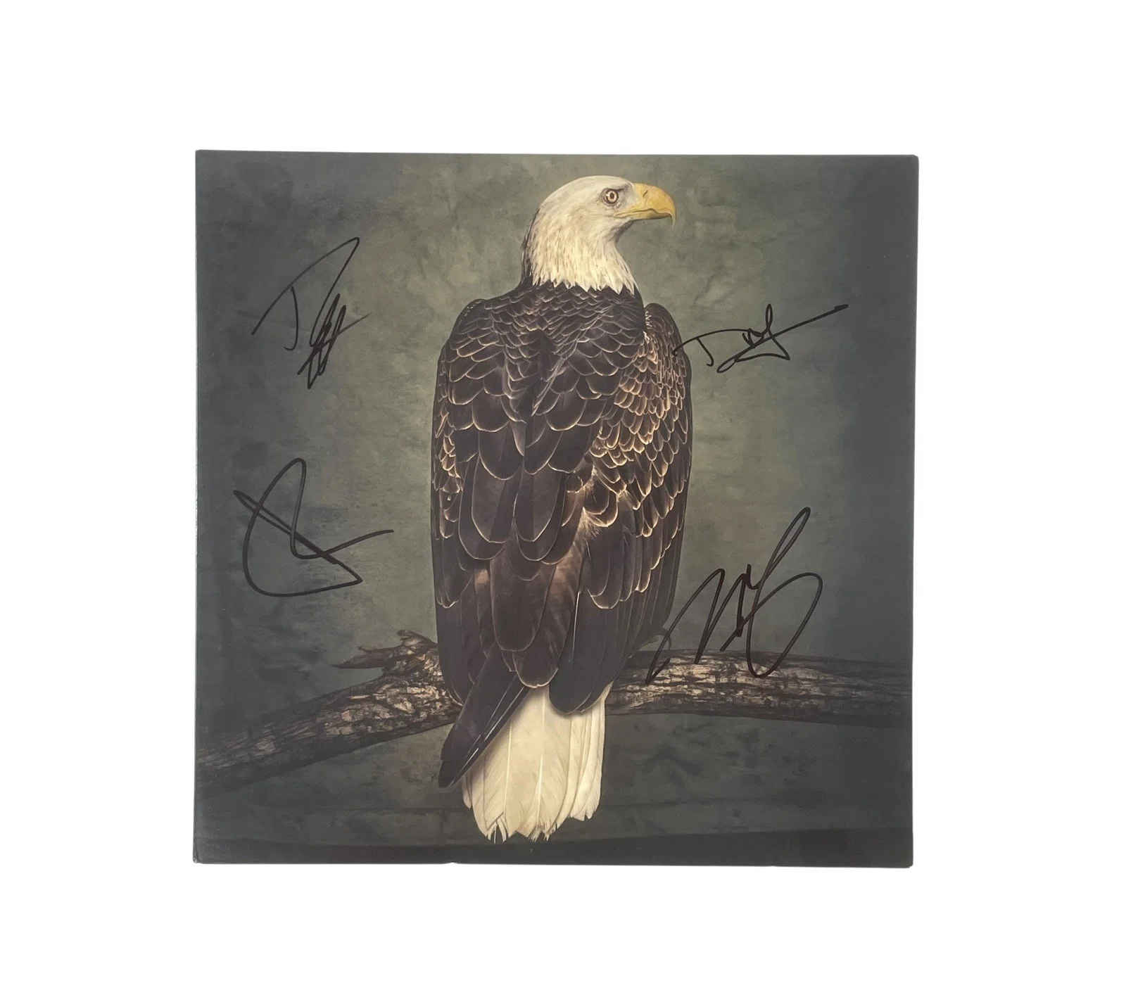 Clutch Band Signed The Book of Bad Decisions 1st Press Vinyl Album Record ACOA, изображение 2