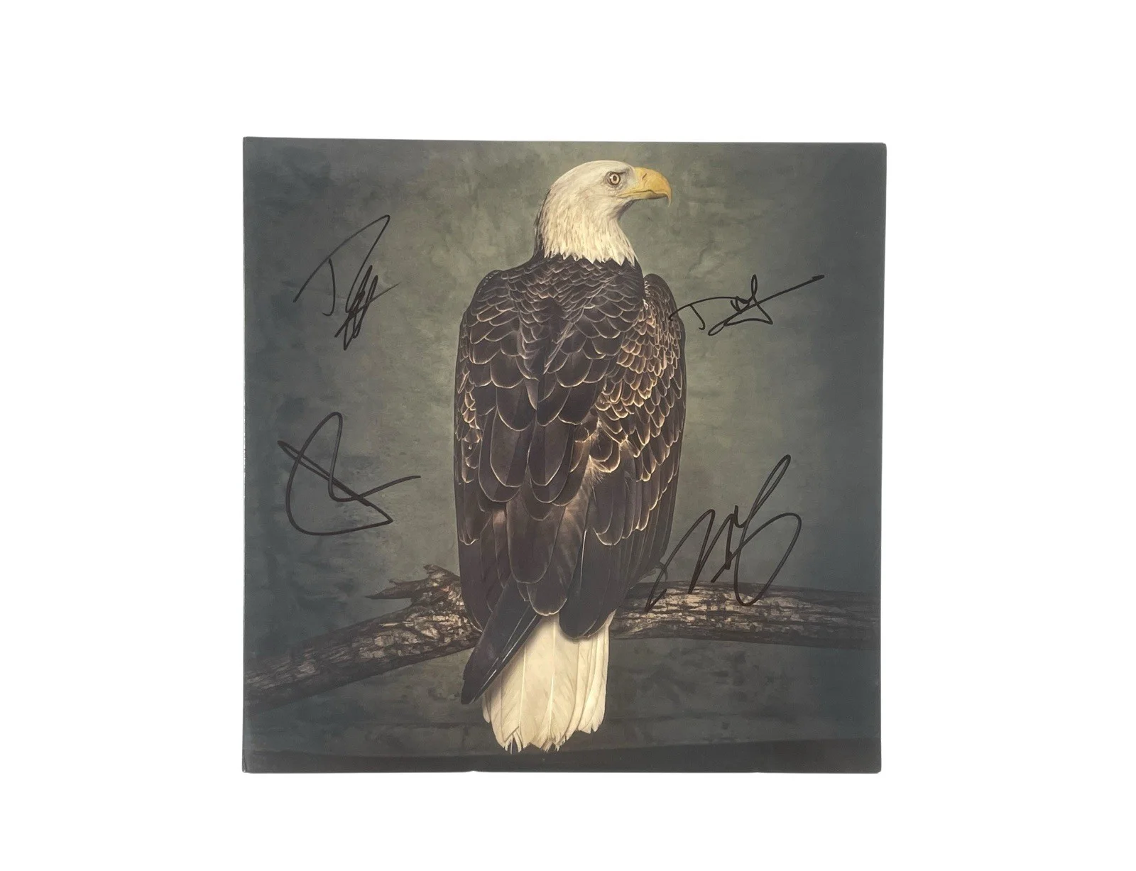 Clutch Band Signed The Book of Bad Decisions 1st Press Vinyl Album Record ACOA, изображение 5