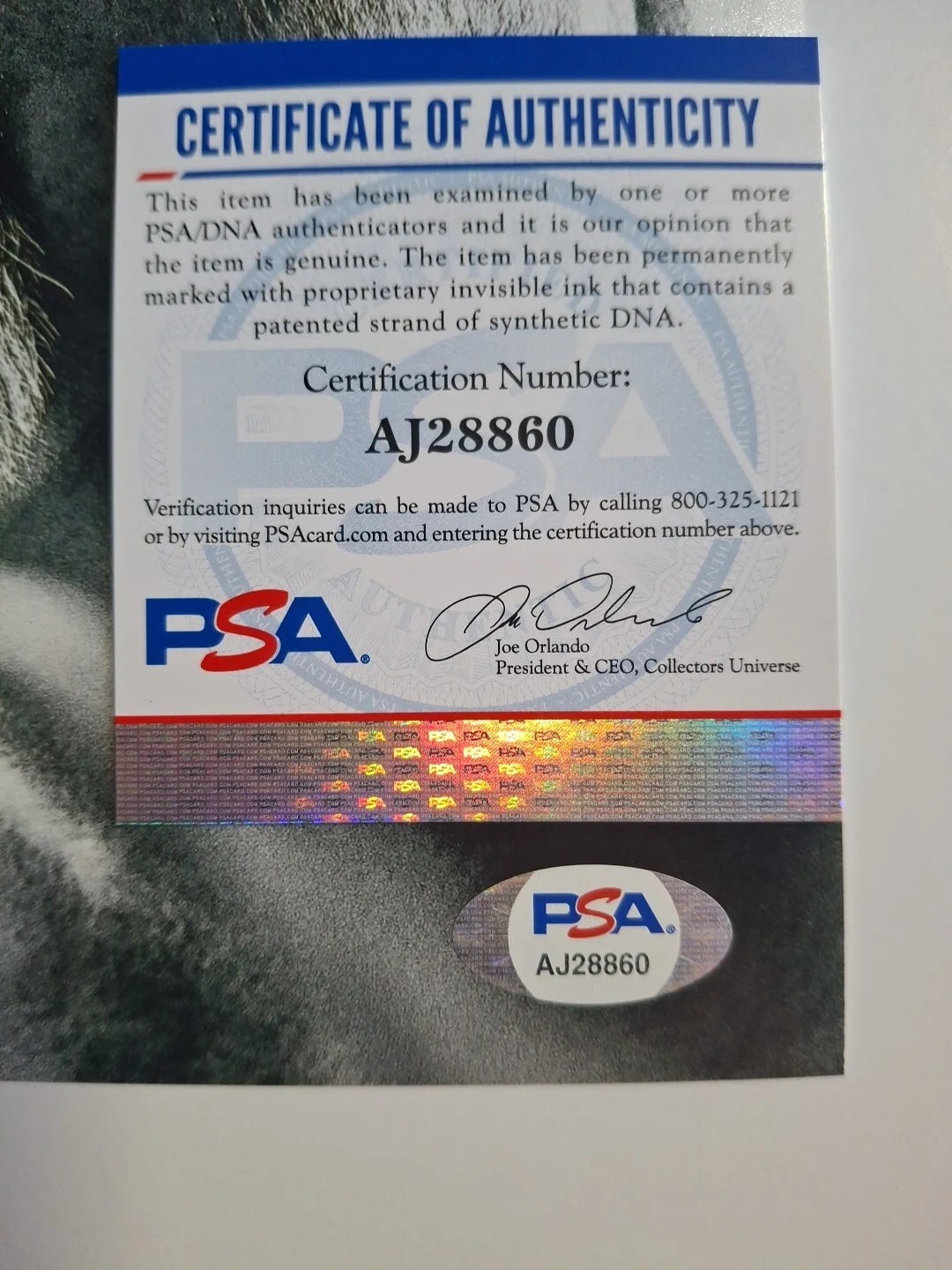 Peter Holsapple Autographed Signed 8x10 Psa DNA Aj28860, image 2