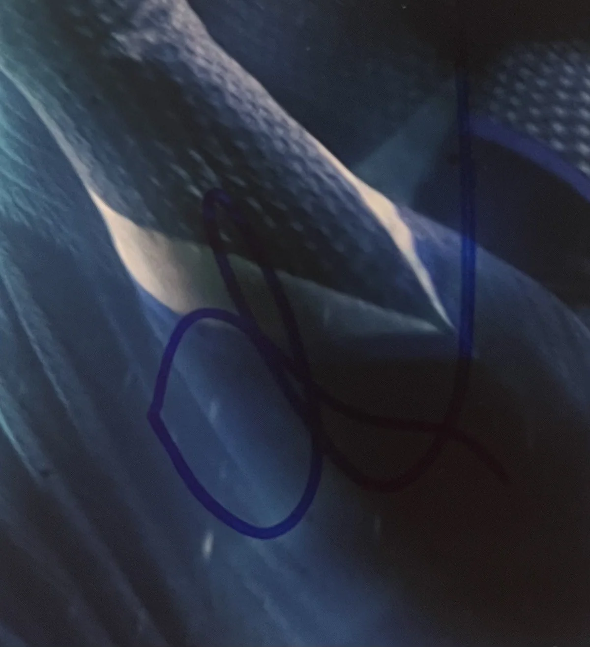 AARON TAYLOR JOHNSON — AARON TAYLOR JOHNSON "AVENGERS" IN PERSON SIGNED 8X10 COLOR PHOTO COA, изображение 2