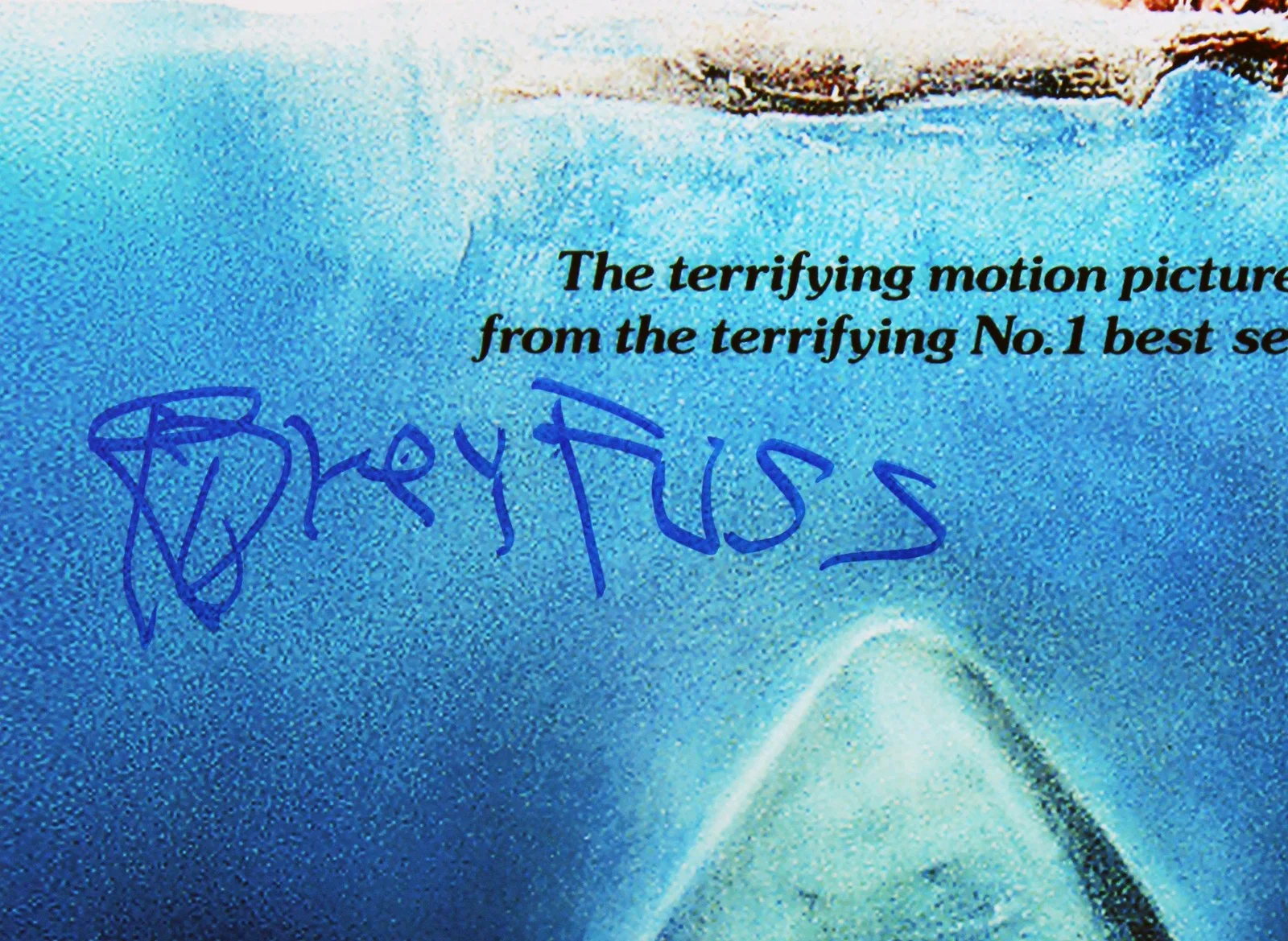Richard Dreyfuss — Richard Dreyfuss Jaws Signed 12x18 Mini Movie Poster Photo BAS #BV25047, image 2