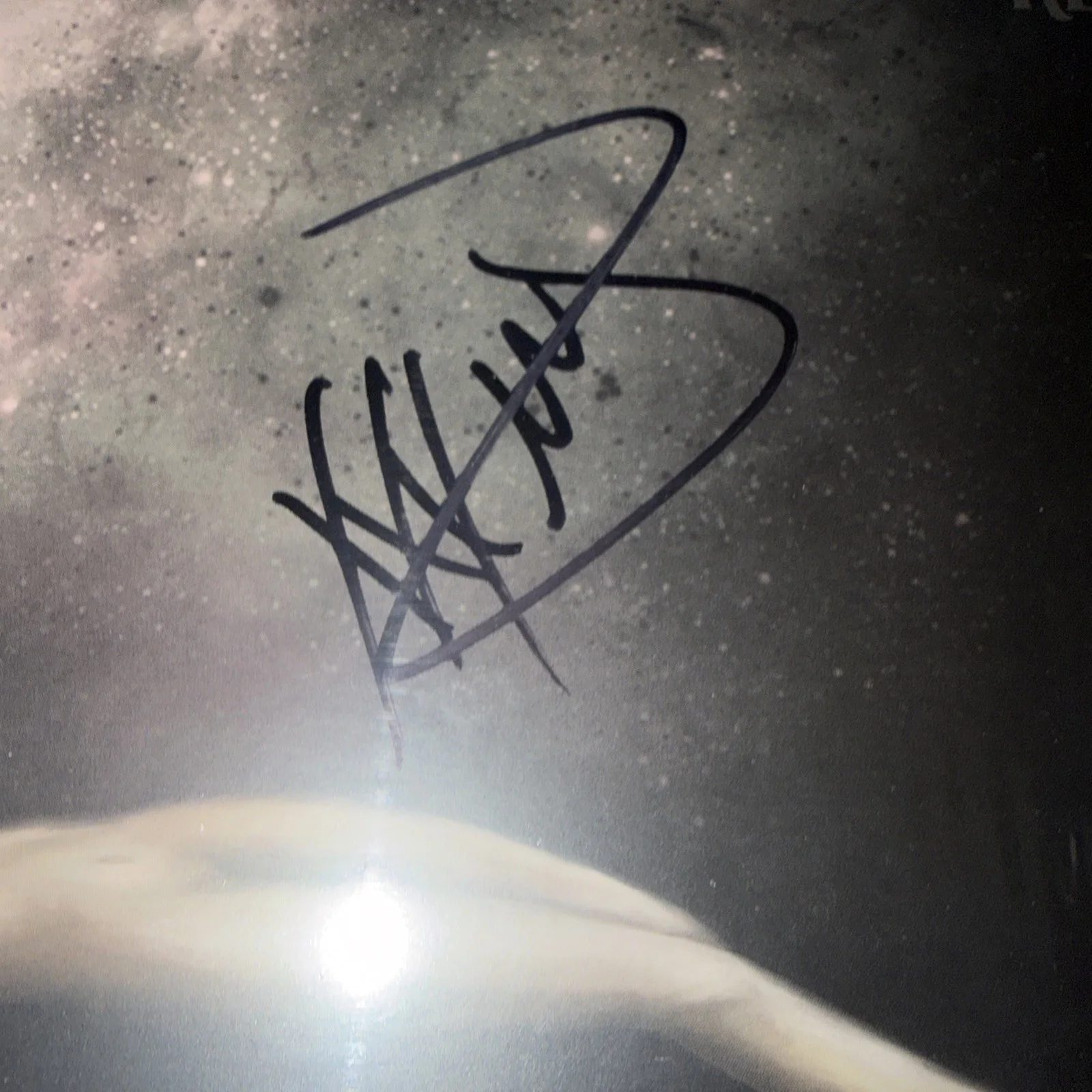 The Pretty Reckless Signed Other Worlds Vinyl LP Orchid RARE AUTOGRAPH, image 2