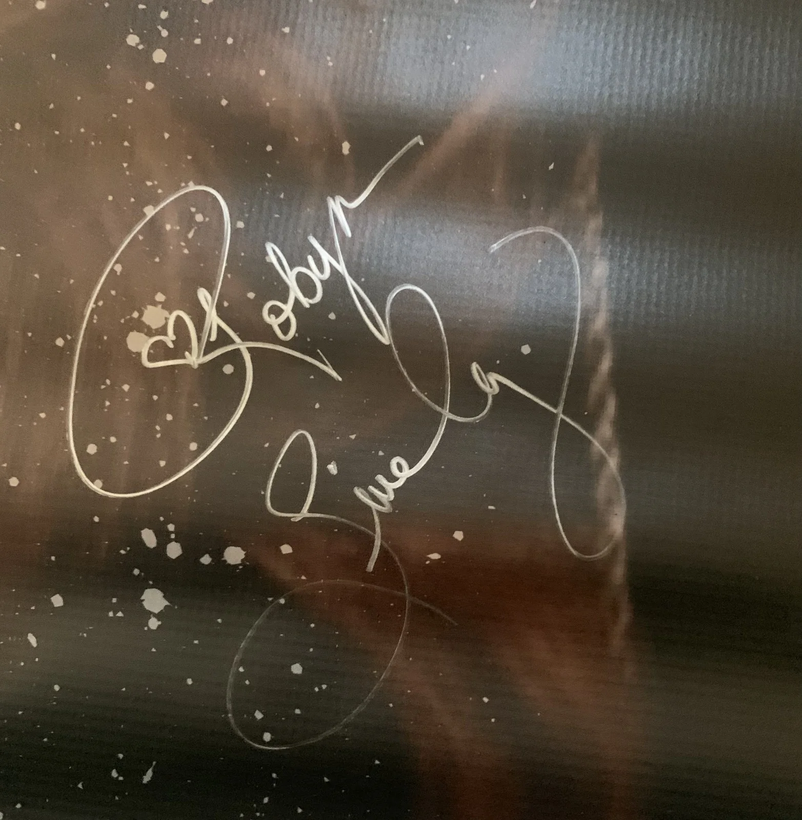 Robyn Lively — Robyn Lively SIGNED 36x48 Vinyl Banner Karate Kid Teen Witch SE Exclusive, изображение 2