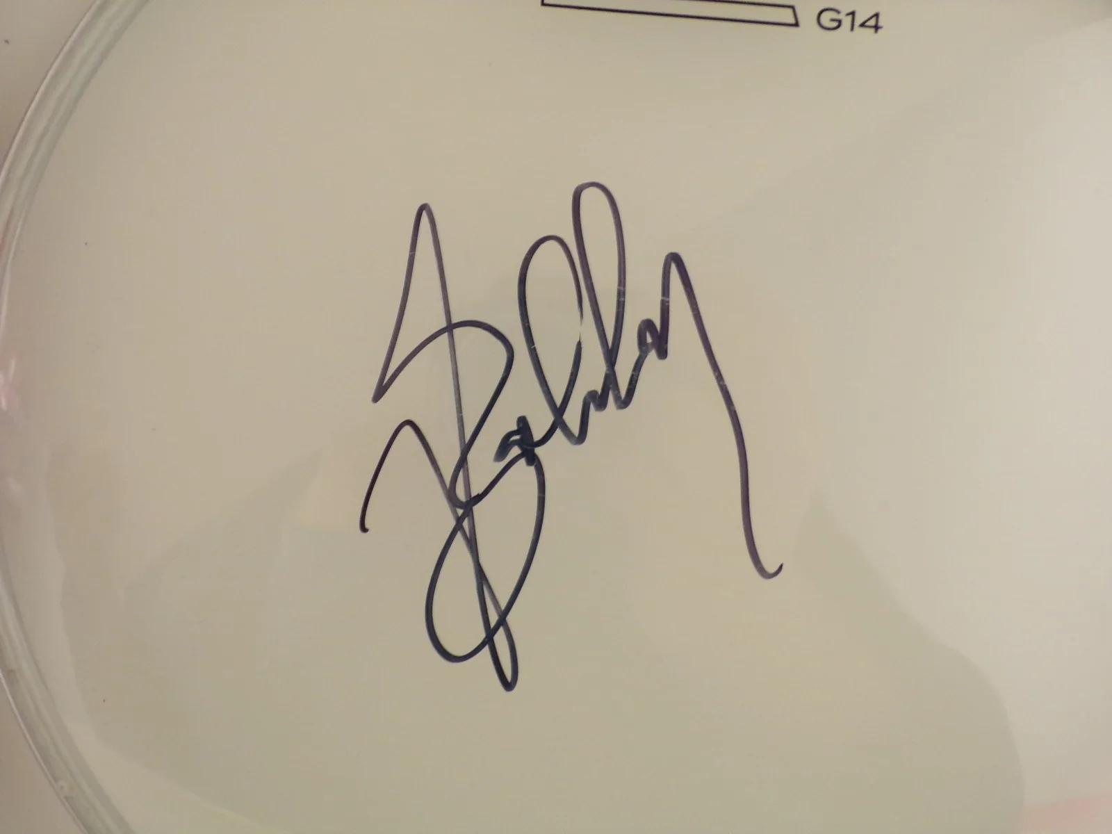 Bobby Brown Singer AUTOGRAPHED D'Addario Evans G14 Drumhead w/JSA COA 010826WT, изображение 2