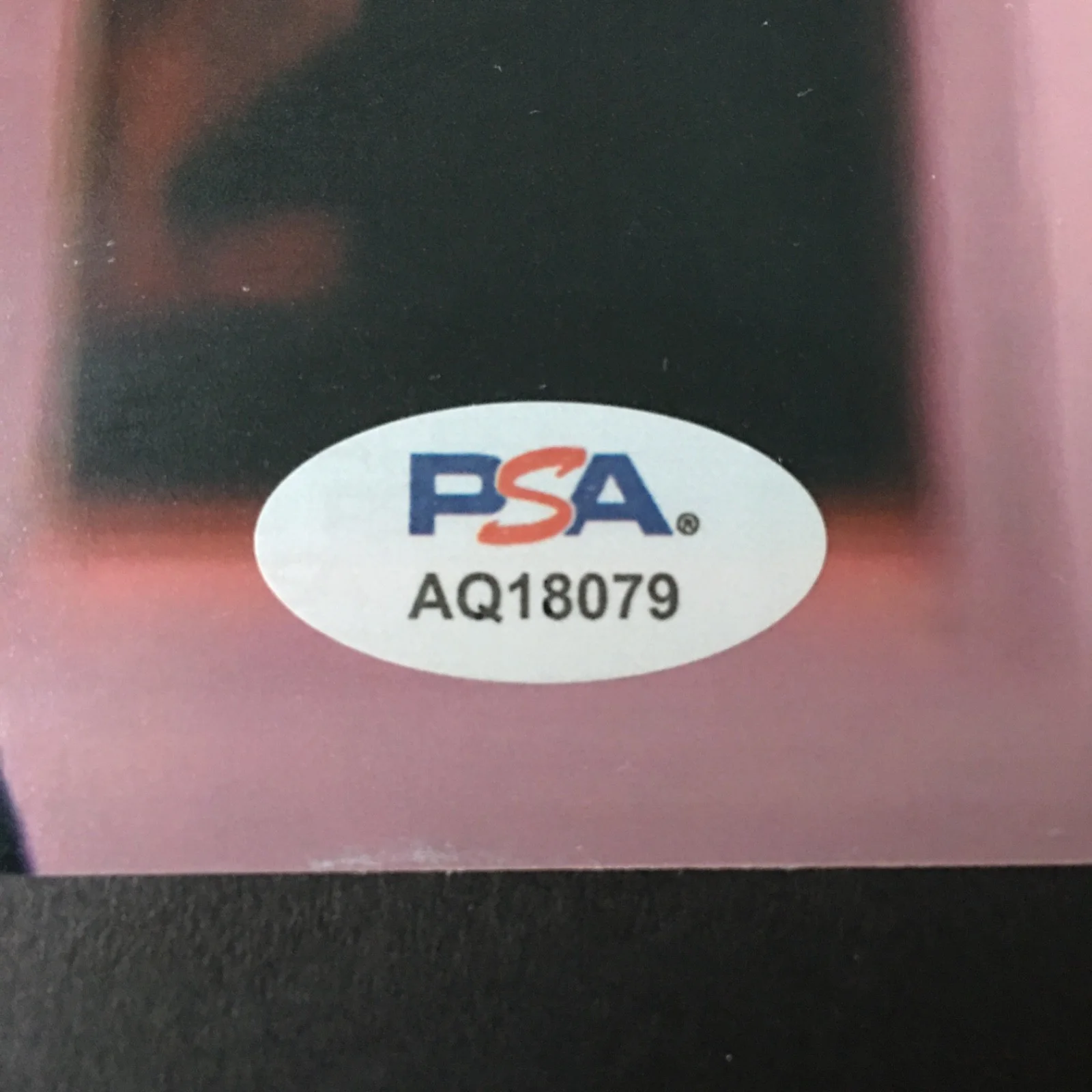 Adam Scott — ADAM SCOTT SIGNED 8x10 PHOTO PSA DNA AUTOGRAPH SEVERANCE AQ18079, изображение 2