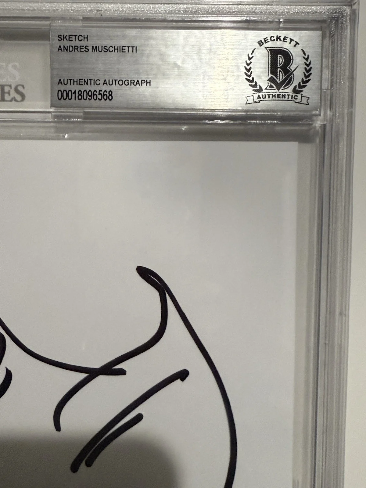 Andres Andy Muschietti — Andres Andy Muschietti Signed Pennywise IT 8.5x11 Sketch Autograph BAS ENCAP - B, image 2