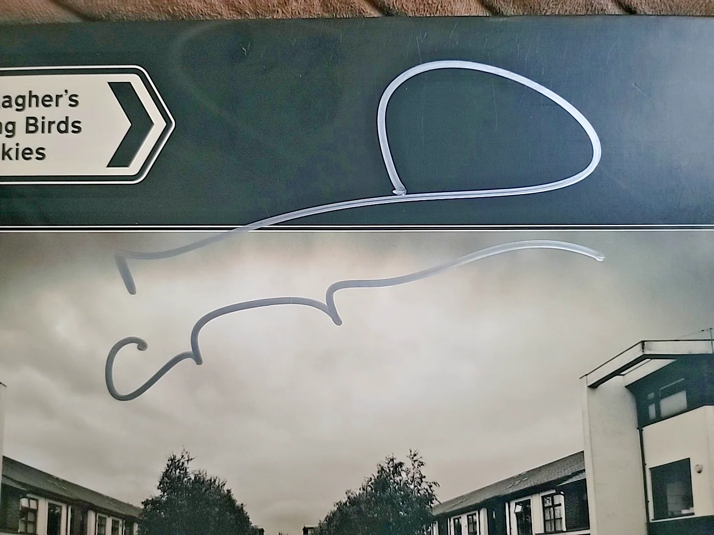 Noel Gallagher Signed High Flying Birds Council Skies Autograph Record Vinyl, изображение 2