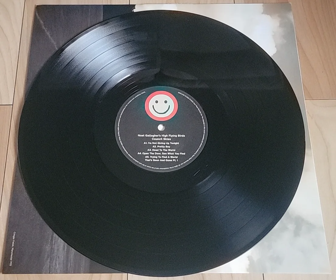 Noel Gallagher Signed High Flying Birds Council Skies Autograph Record Vinyl, изображение 3
