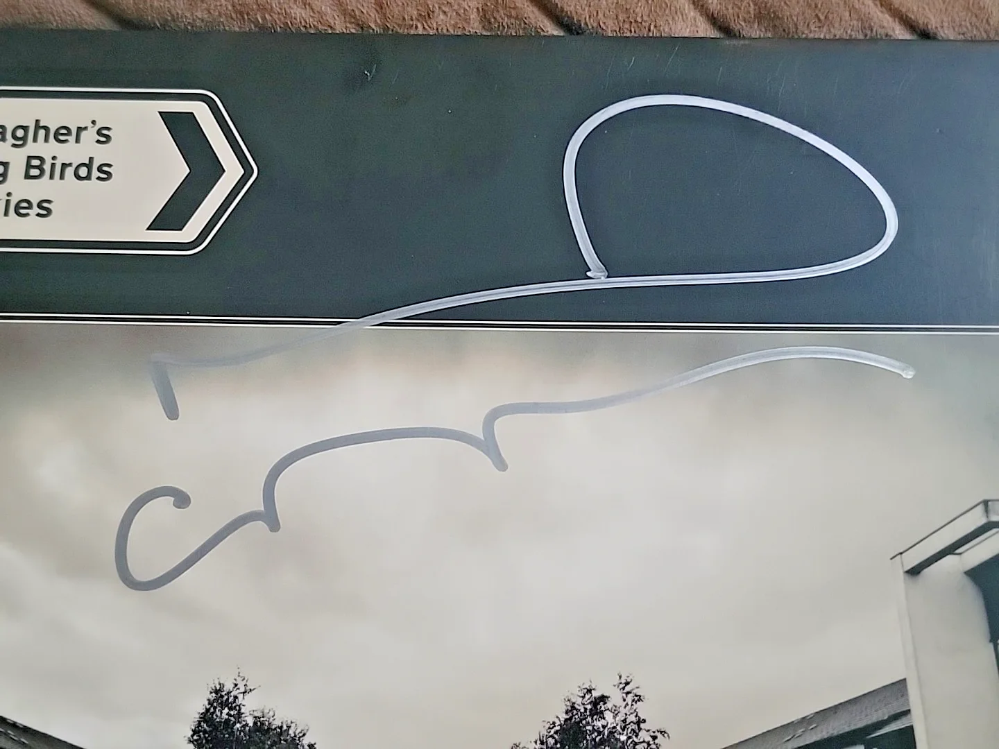 Noel Gallagher Signed High Flying Birds Council Skies Autograph Record Vinyl, изображение 5