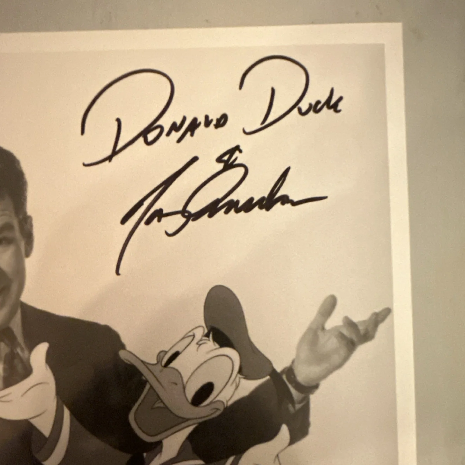 Tony Anselmo — Tony Anselmo Signed Original 8x10 Donald Duck Movie Photograph Autograph, изображение 3