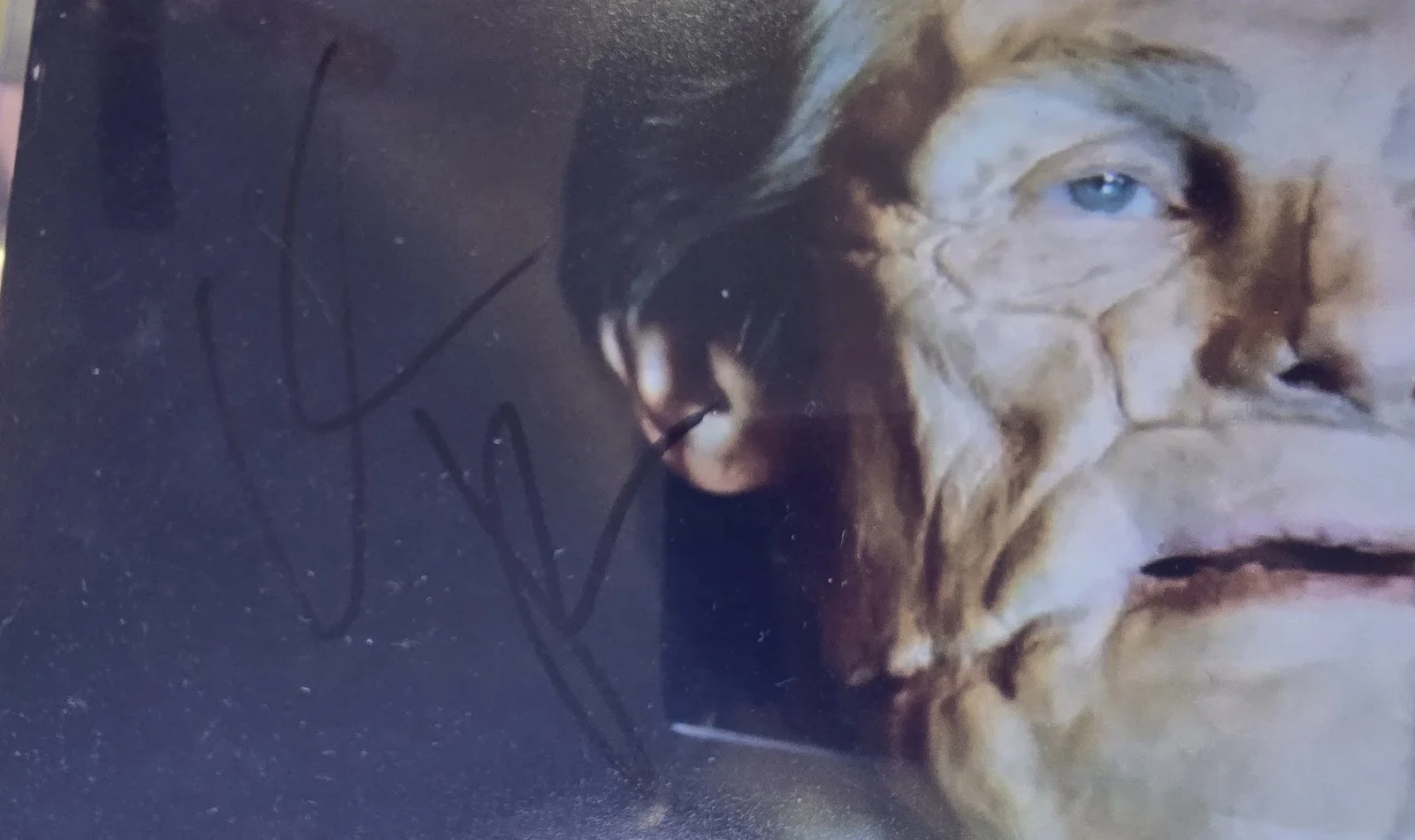 WILLEM DAFOE — WILLEM DAFOE Signed Poor Things 8x10 Photo (ACOA COA) Autograph Auto, image 2