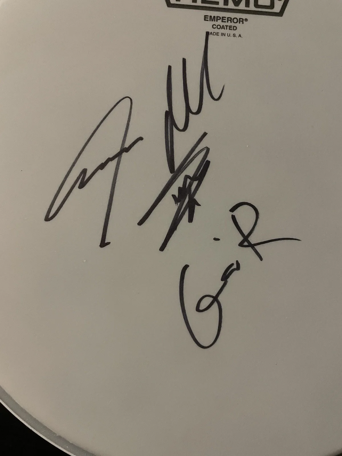 Steven Adler Guns ‘N’ Roses Signed 10”Drumhead Autographed JSA Cert# CG14626, изображение 2