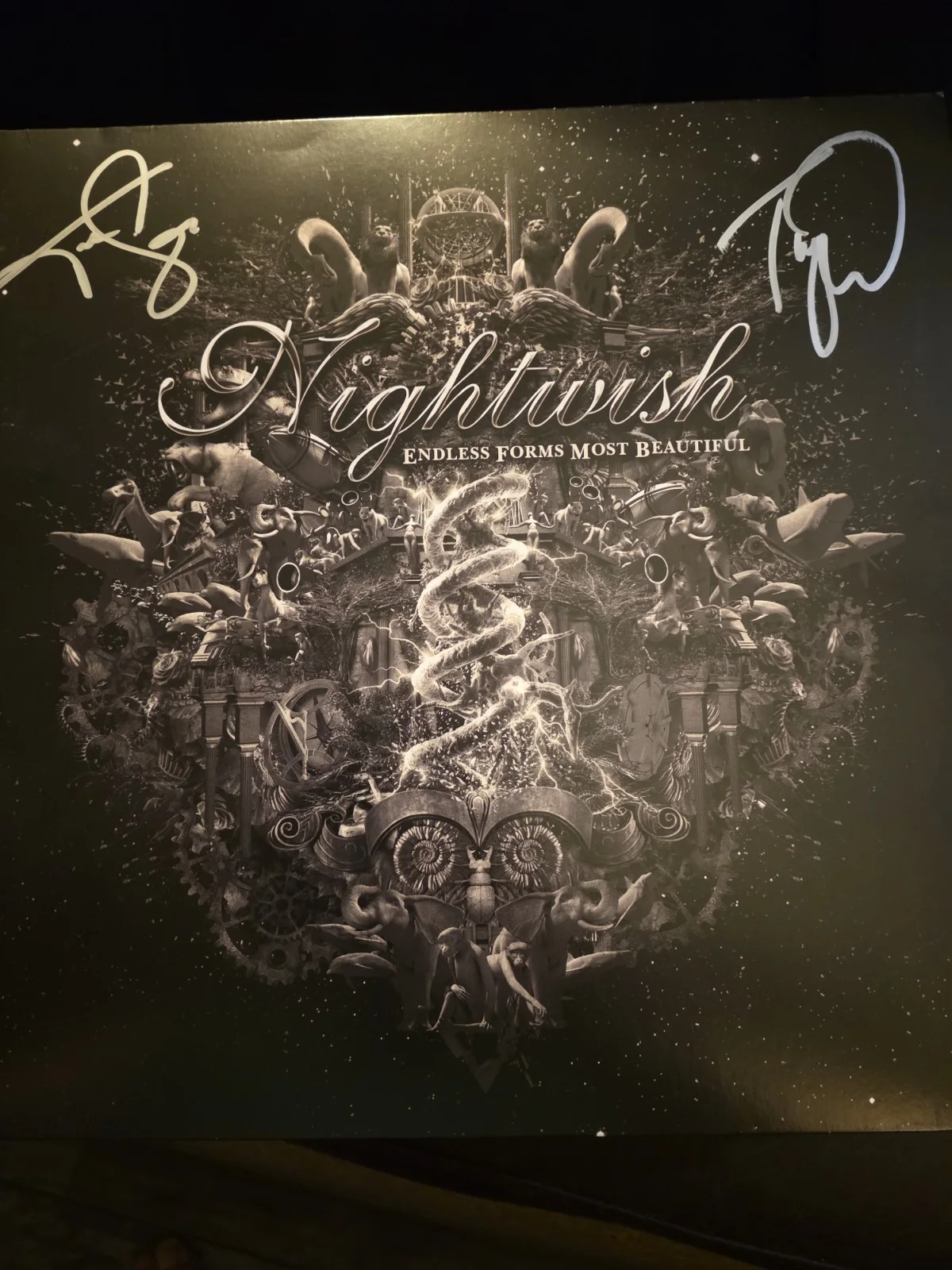 Nightwish Autographed Vinyl "Endless Forms Of Beatiful" READ, image 4
