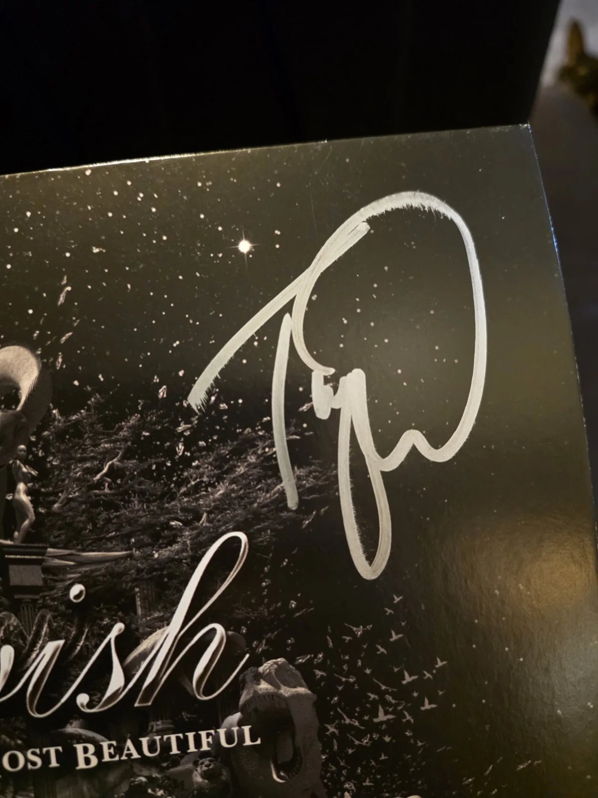 Nightwish Autographed Vinyl "Endless Forms Of Beatiful" READ, image 5