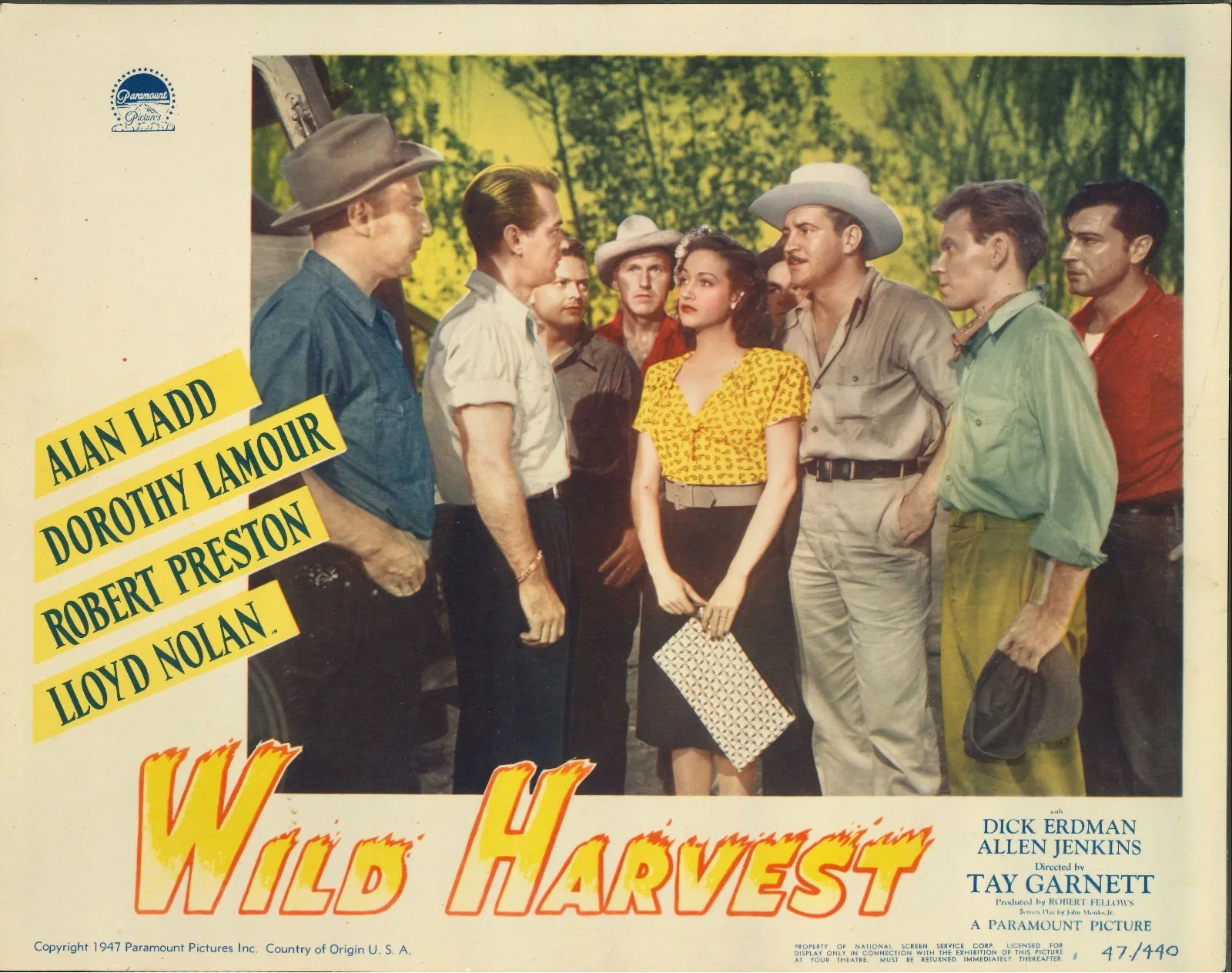 Wild Harvest 2x ORIGINAL US Lobby Cards Alan Ladd Dorothy Lamour 1947, изображение 2