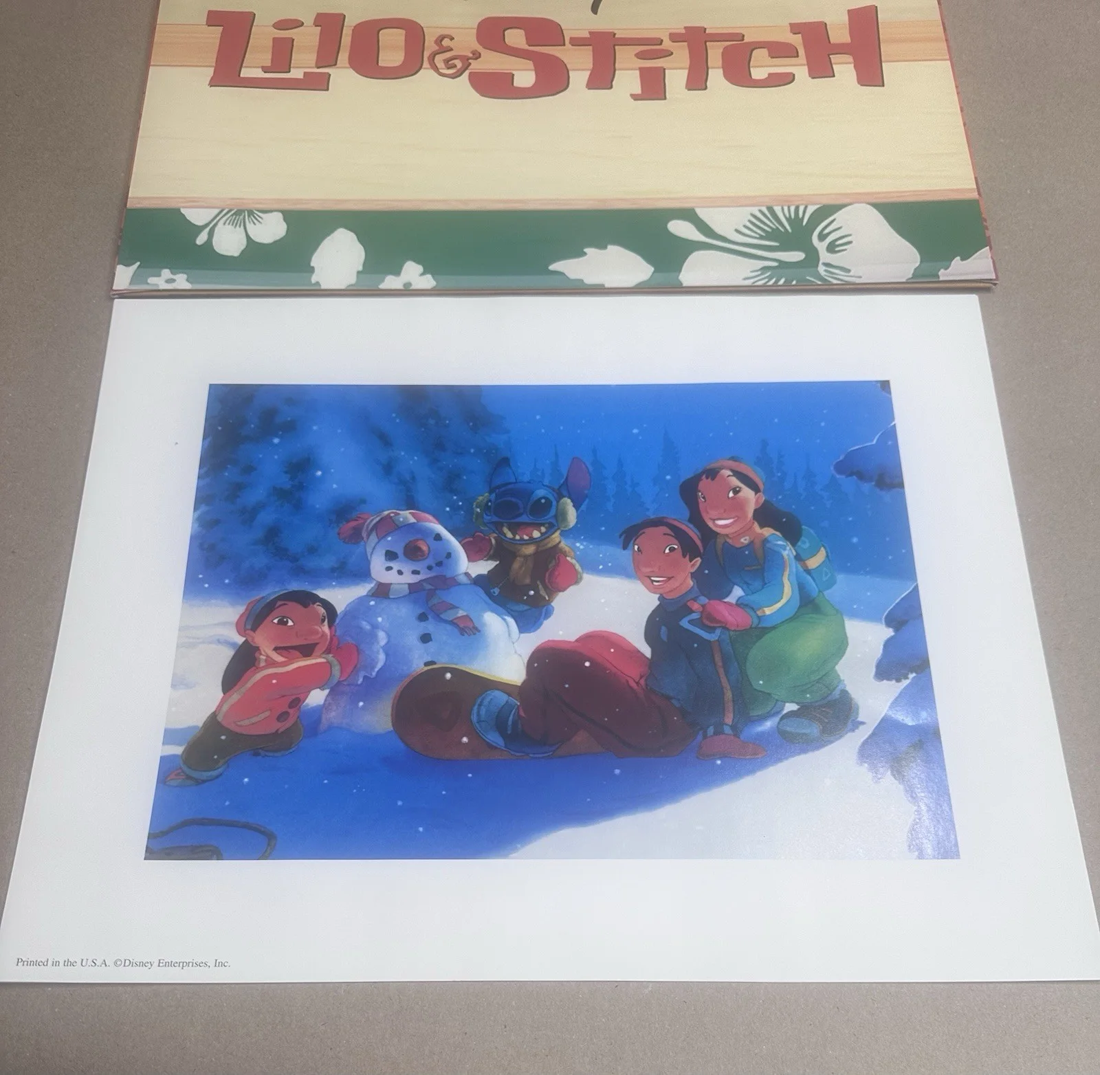 Not signed — Disney Store Chris Sanders 11x14 Lithograph Set Lilo & Stitch, изображение 3