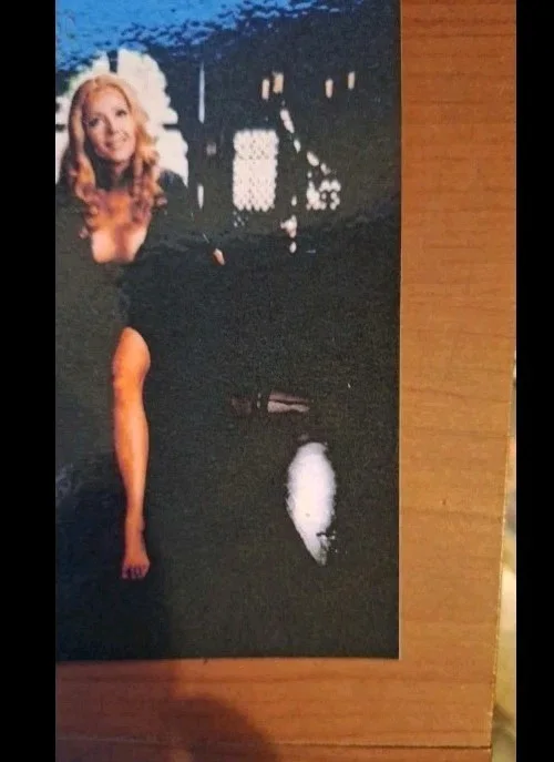 VINTAGE "Countess Dracula" 1970 UK Film Release Poster Fine Art Modern Postcard, image 4