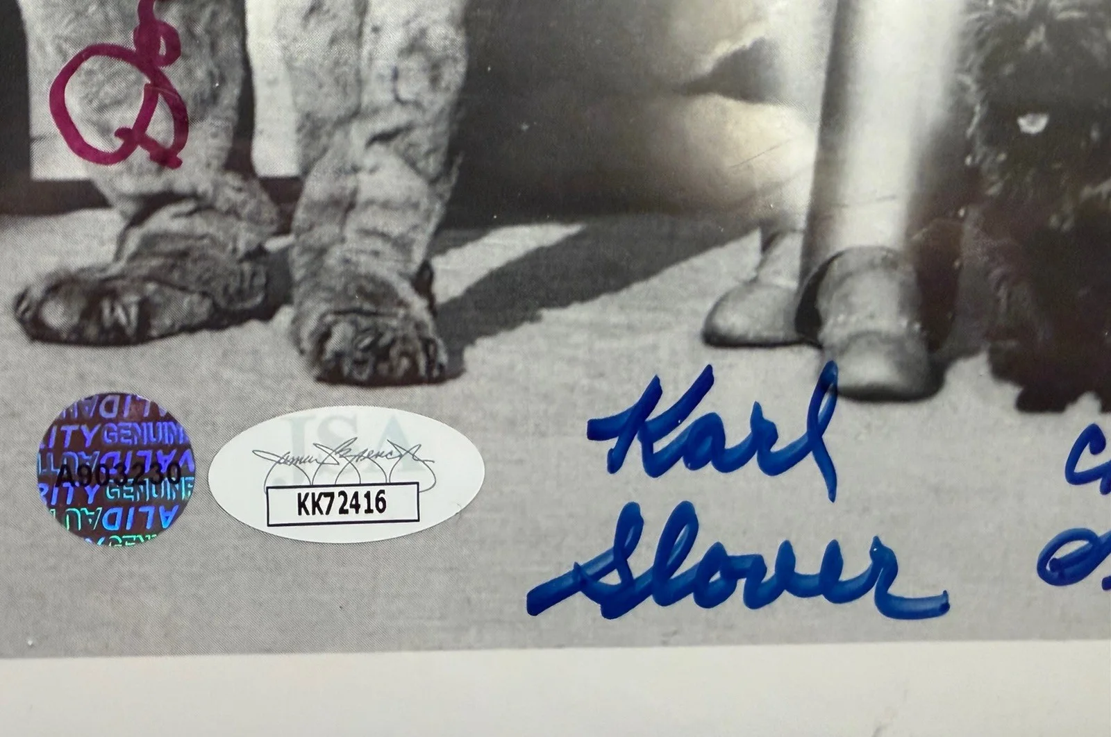 WIZARD OF OZ AUTOGRAPHED 11x14 PHOTO (JSA!) - Carroll, Maren, Slover, Hardaway,, изображение 2