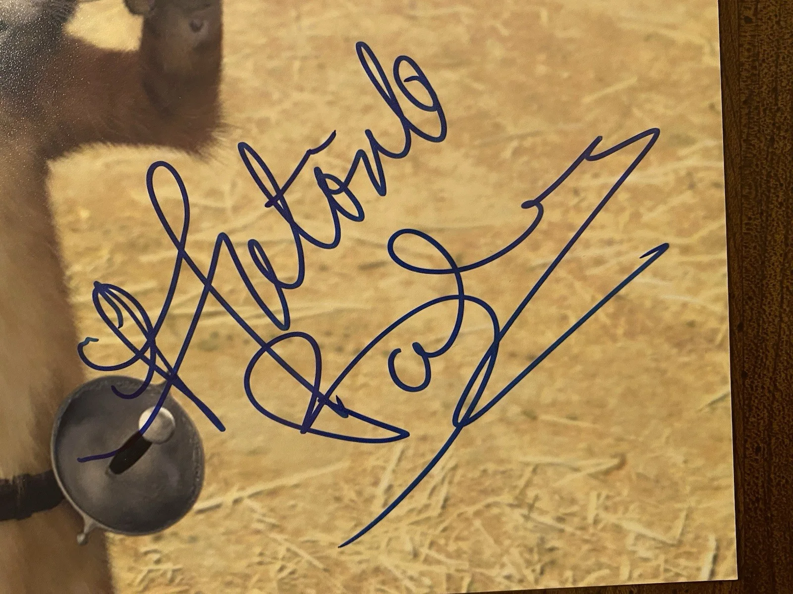 Antonio Banderas — Antonio Banderas Signed Autographed 10x8 Photo With COA Puss In Boots, image 2