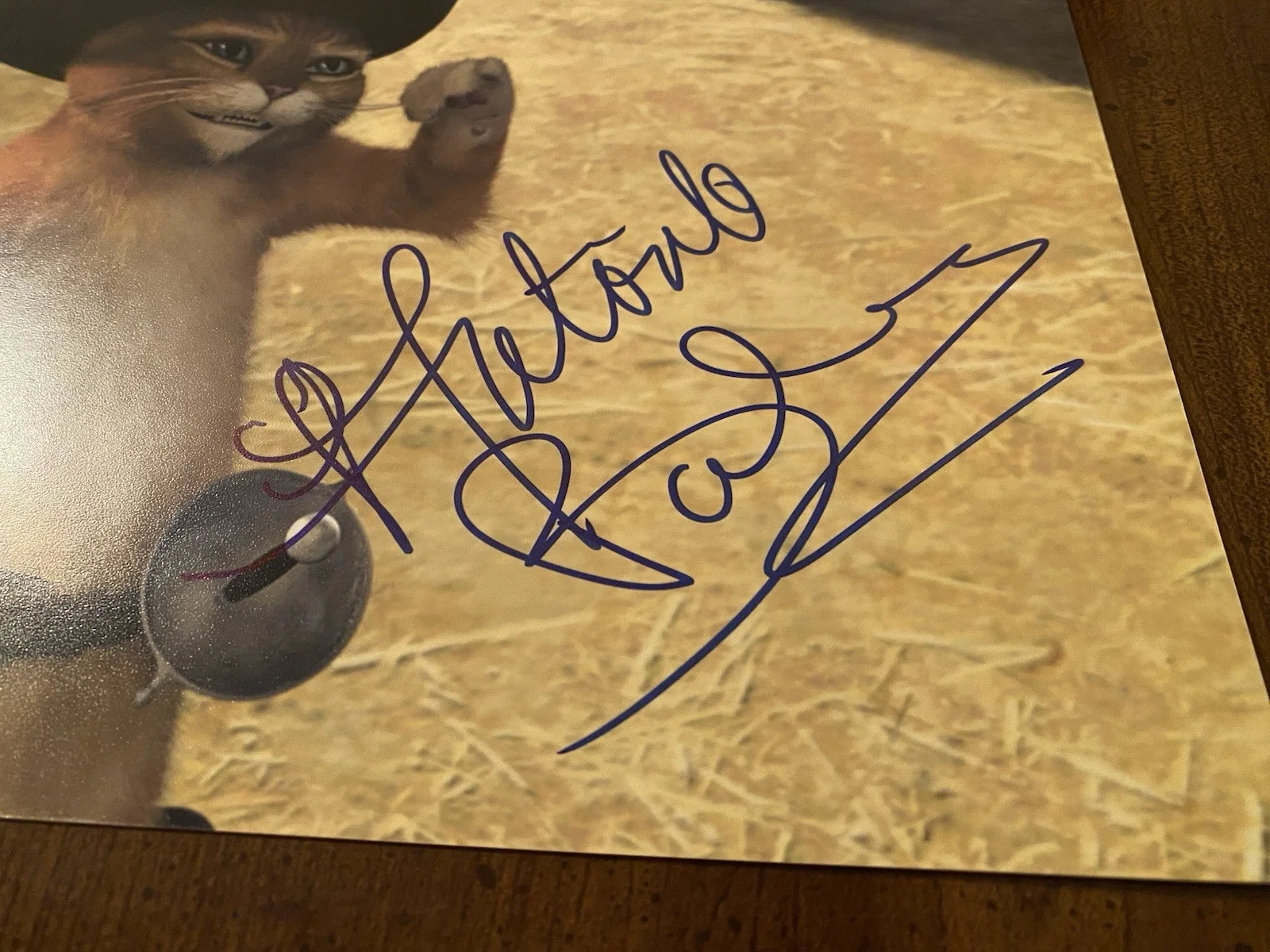Antonio Banderas — Antonio Banderas Signed Autographed 10x8 Photo With COA Puss In Boots, image 3
