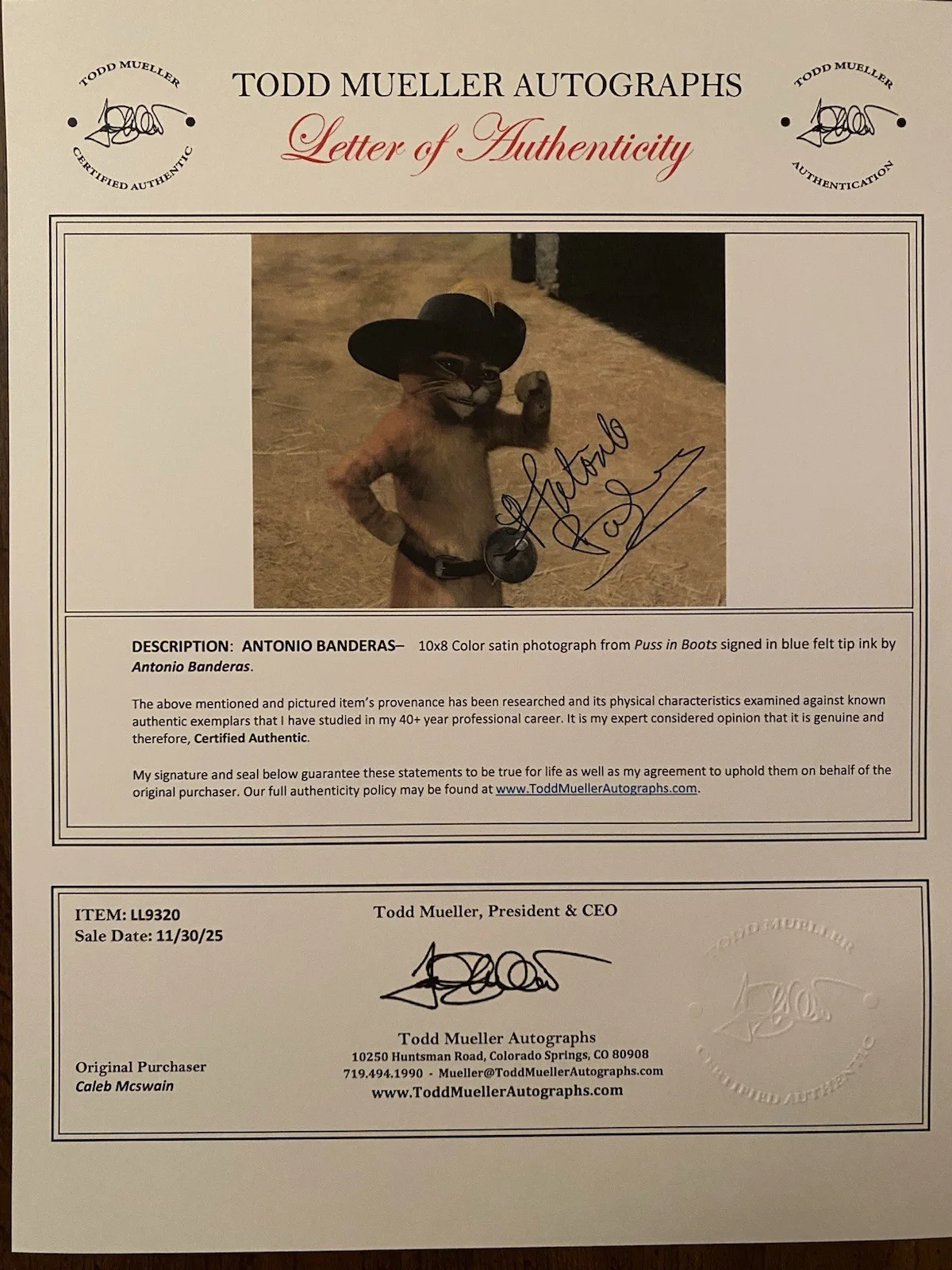 Antonio Banderas — Antonio Banderas Signed Autographed 10x8 Photo With COA Puss In Boots, image 4