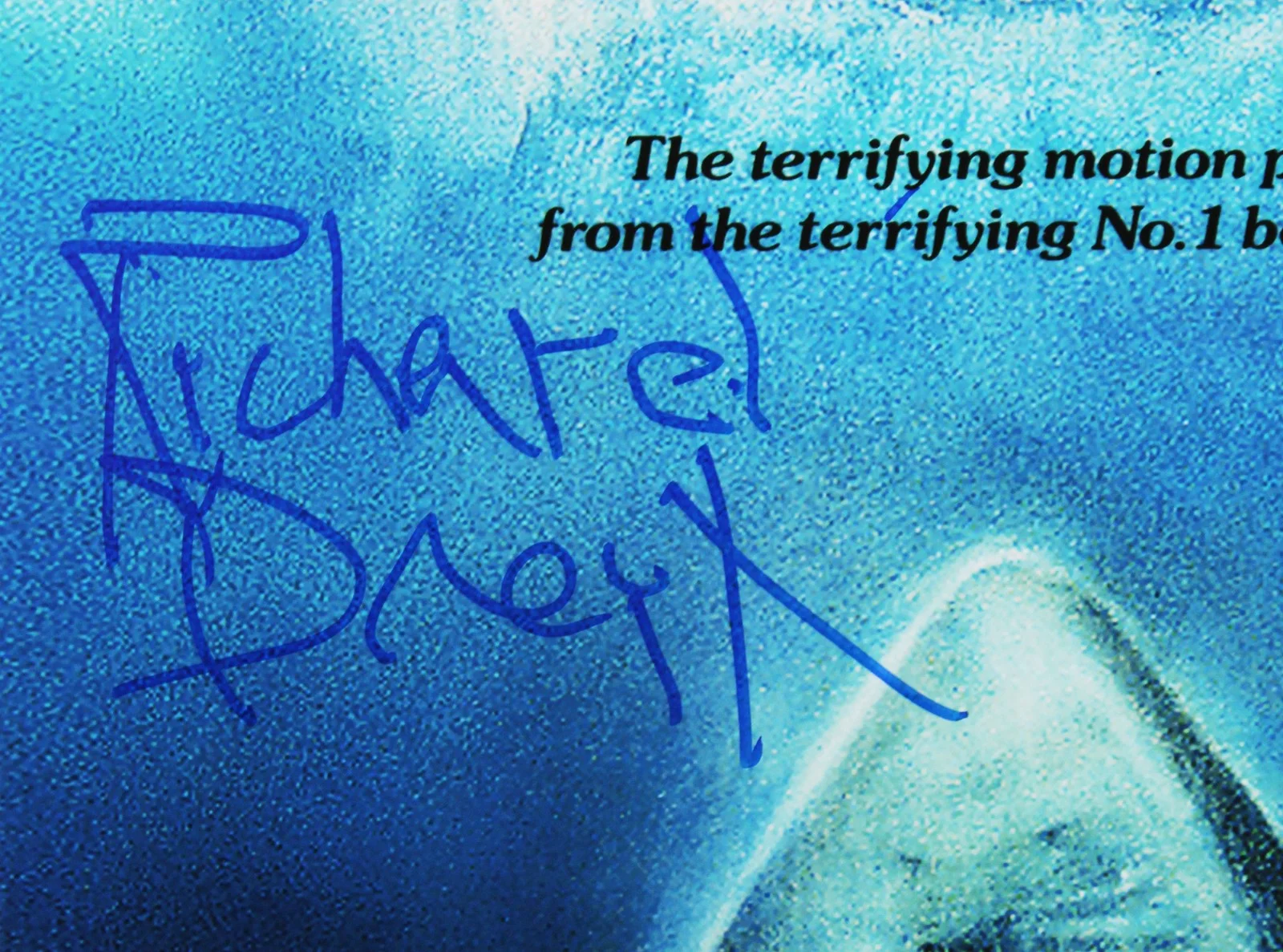 Richard Dreyfuss — Richard Dreyfuss Jaws Signed 12x18 Mini Movie Poster Photo BAS #BV25113, image 2