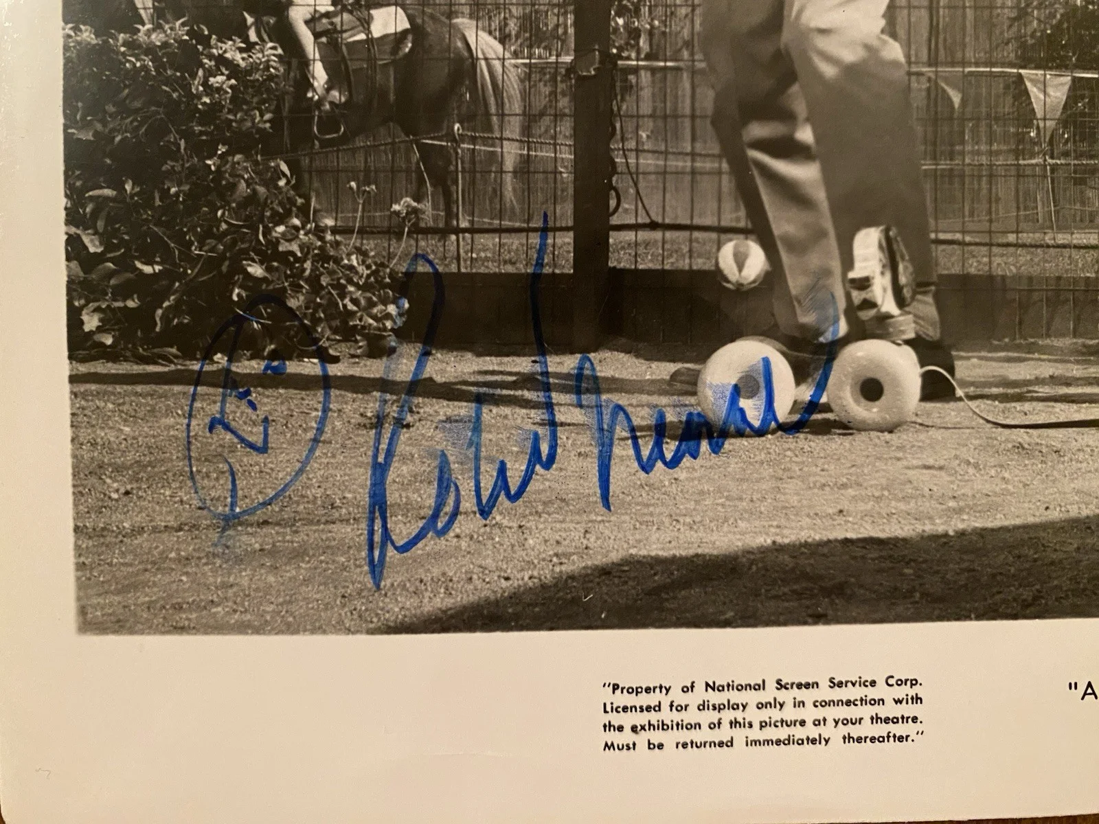 Robert Morse — Robert Morse Signed Autographed Photo With COA A Guide For The Married Man, image 2