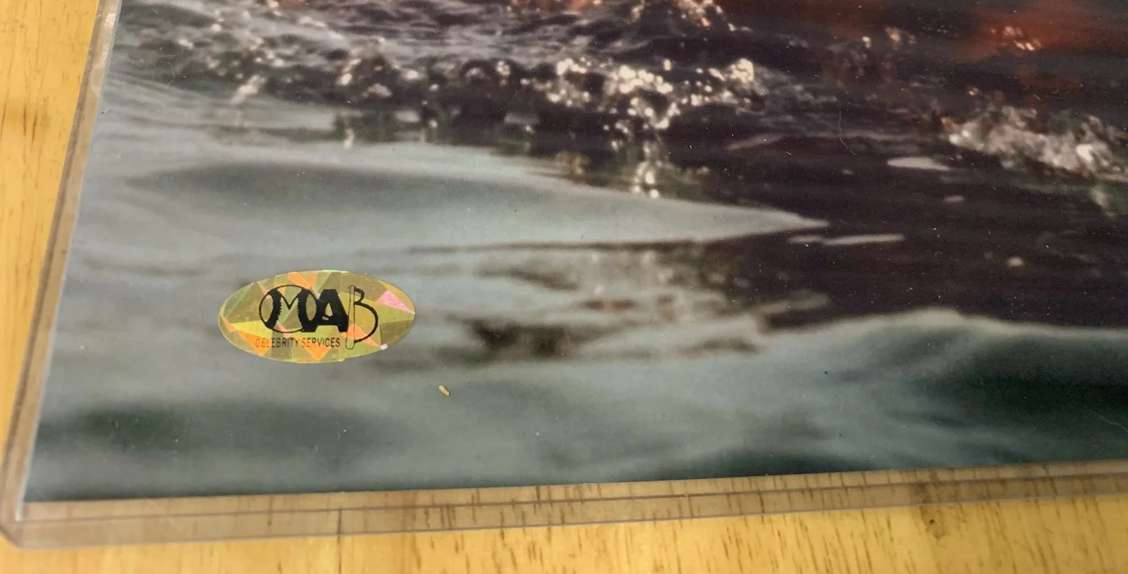 Vintage Jaws Photo Signed 1st Victim Chrissie Susan Backlinie COA sticker only, изображение 2