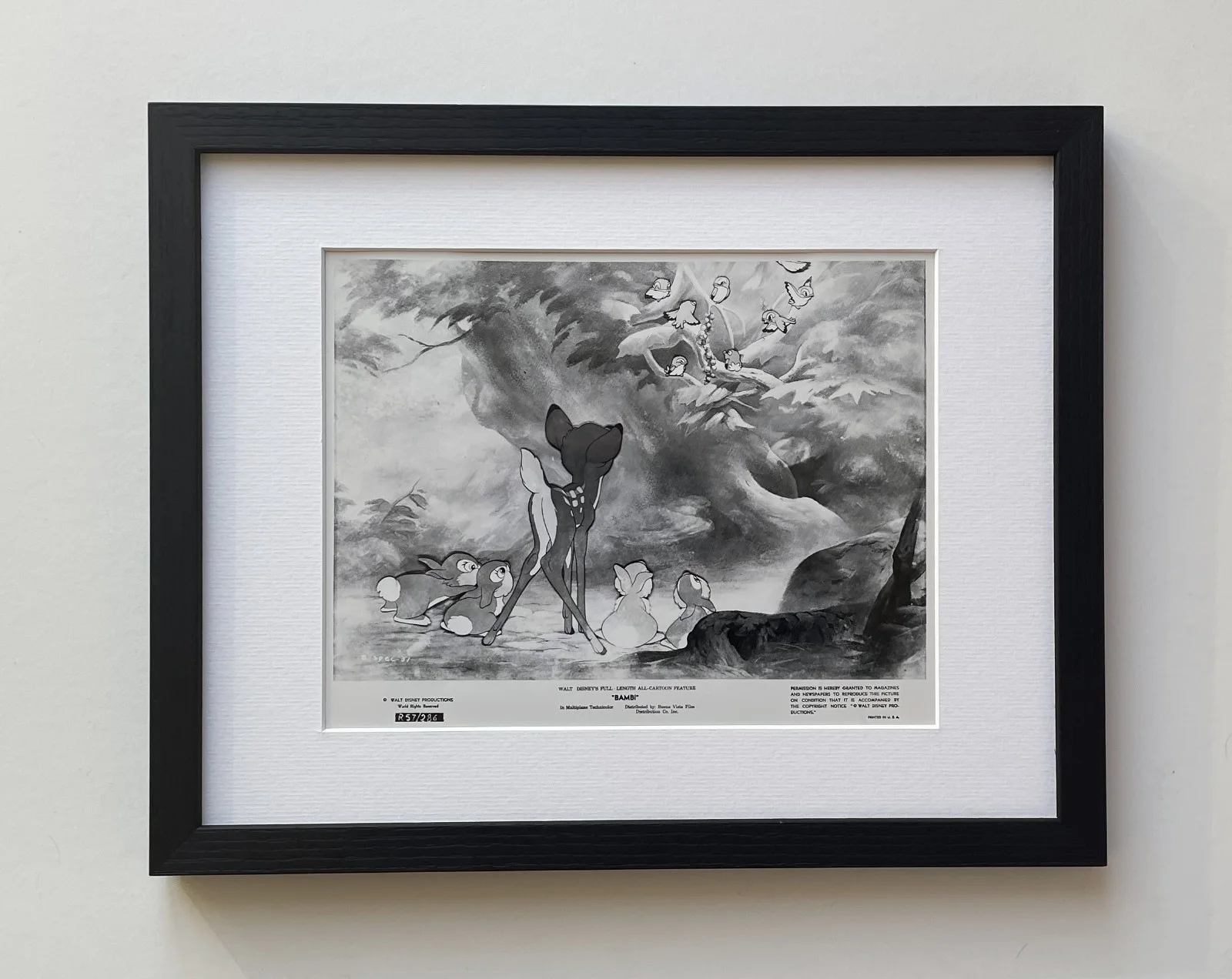 Bambi Photo Original 1957 Re-Release Framed 8X10 Inch B&W Press Publicity Still, изображение 2