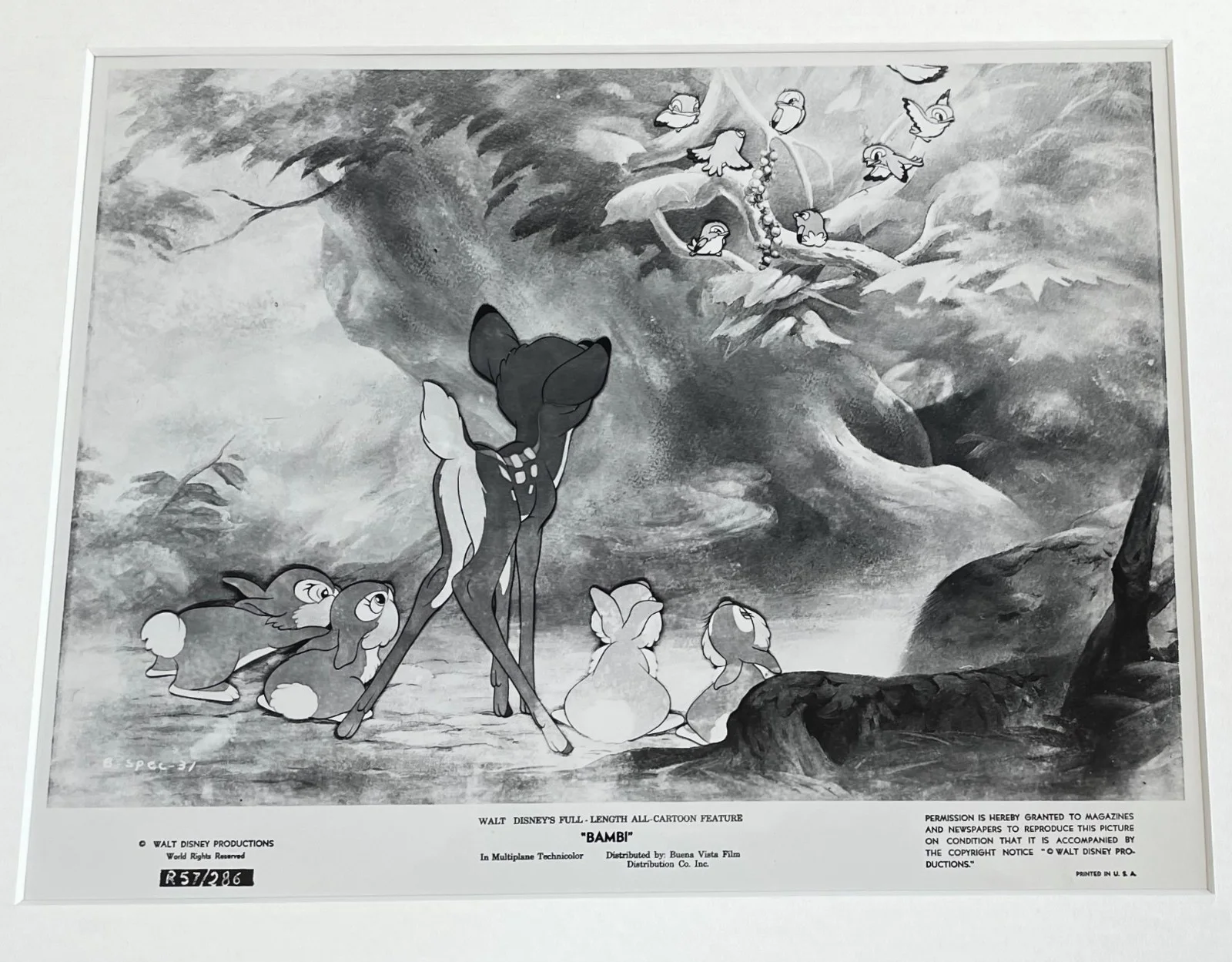 Bambi Photo Original 1957 Re-Release Framed 8X10 Inch B&W Press Publicity Still, изображение 3