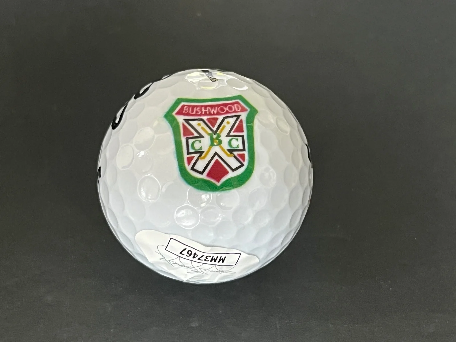 Chevy Chase — Chevy Chase Caddyshack Bushwood Country Club Auto Signed Logo Golf Ball JSA COA, image 2
