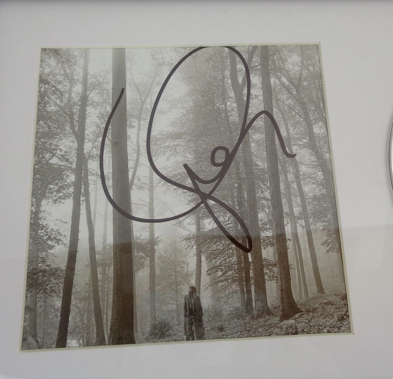 Taylor Swift — Taylor Swift Cardigan Signed Autograph Folklore CD Framed PSA/DNA COA C, image 2
