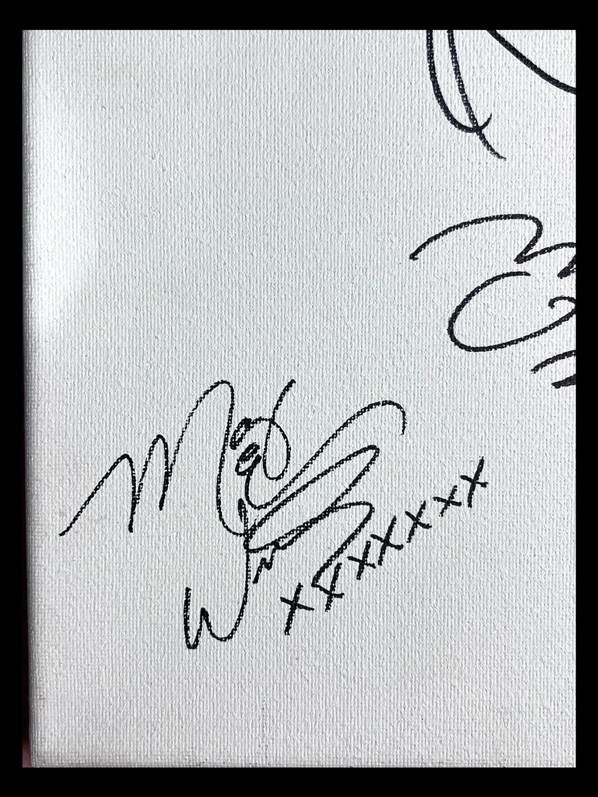 Mary Elizabeth Winstead, Bryan Lee O Malley — MARY ELIZABETH WINSTEAD + BRYAN LEE O’MALLEY SIGNED AND SKETCHED CANVAS BECKETT, image 3