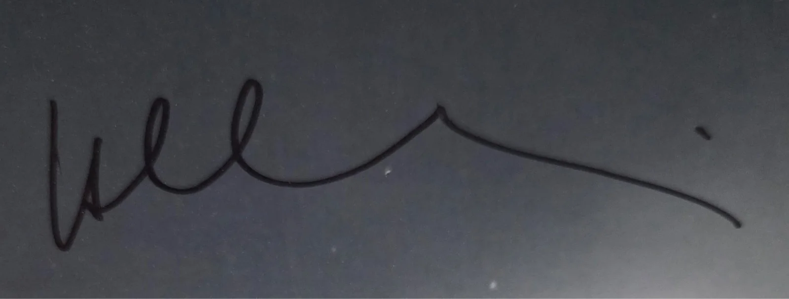 Isabella Rossellini Hand Signed Autograph 8x10 Photo In Person Proof Blue Velvet, изображение 2