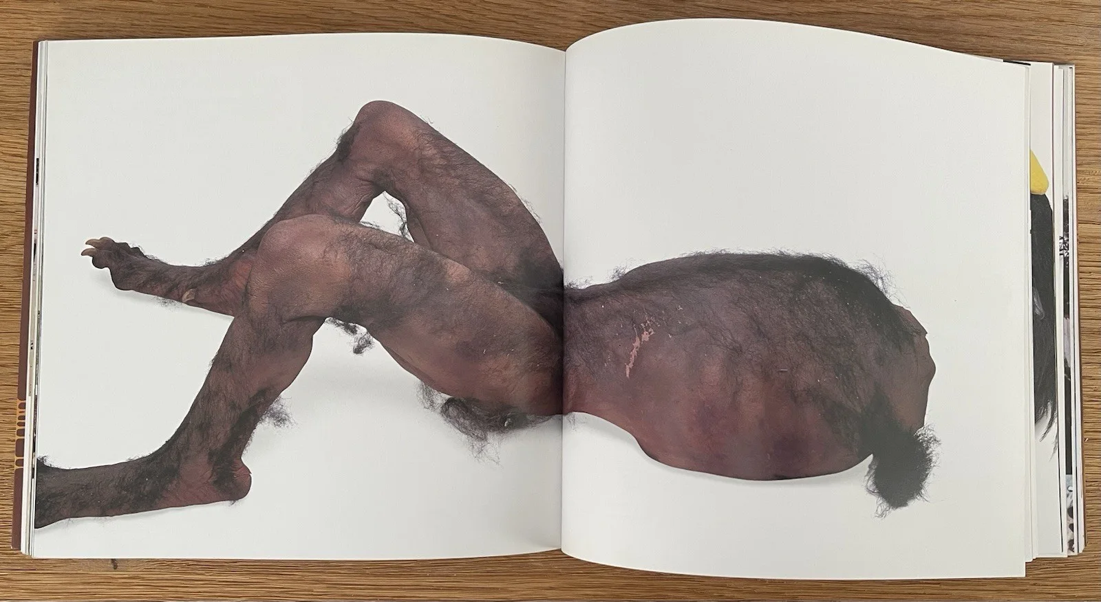 It’s Came From Bobs Basement Movie Prop Costume Archive Book Bob Burns King Kong, image 5