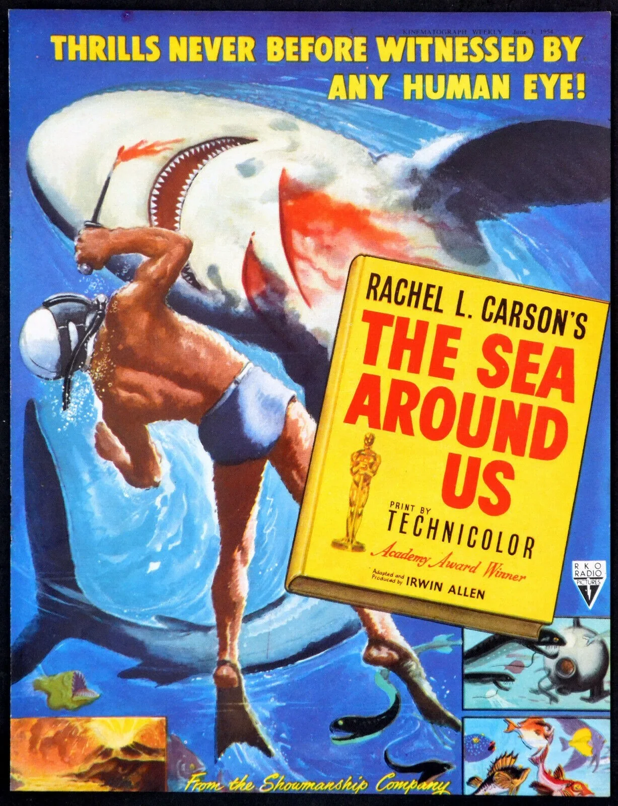 MISS SADIE THOMPSON 1953 Rita Hayworth, José Ferrer and Aldo Ray TRADE ADVERT, изображение 2
