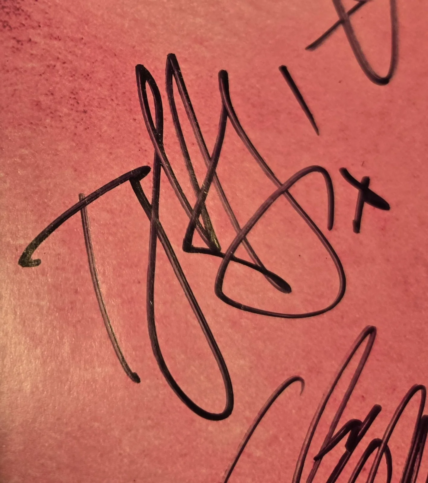 Neon Trees Autographed Animals Felt Poster 23x35 (4 Sigs), image 2